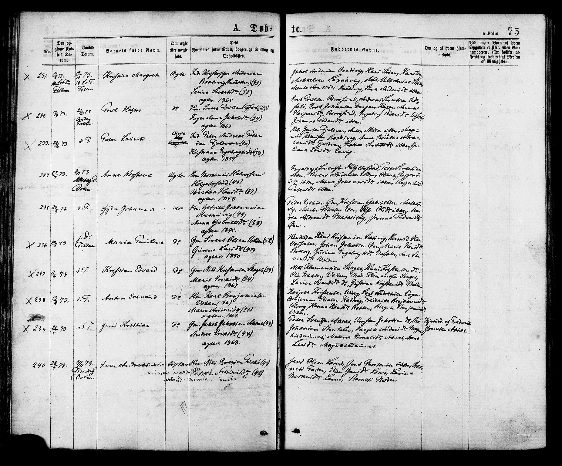 Ministerialprotokoller, klokkerbøker og fødselsregistre - Sør-Trøndelag, SAT/A-1456/634/L0532: Parish register (official) no. 634A08, 1871-1881, p. 75
