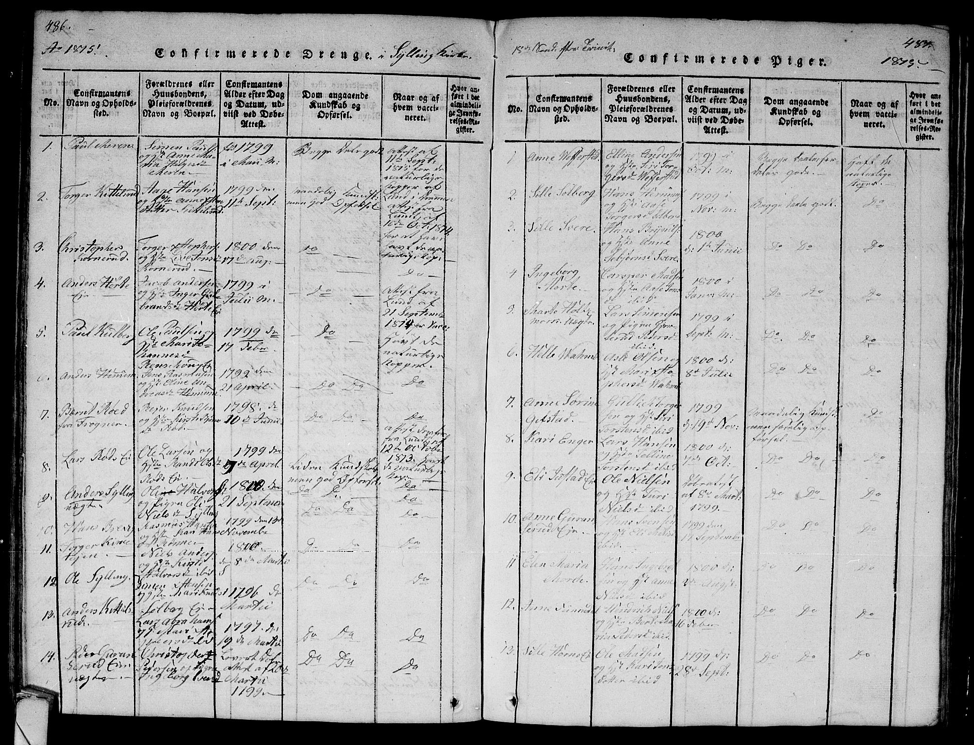 Lier kirkebøker, AV/SAKO-A-230/G/Ga/L0001: Parish register (copy) no. I 1, 1813-1824, p. 486-487