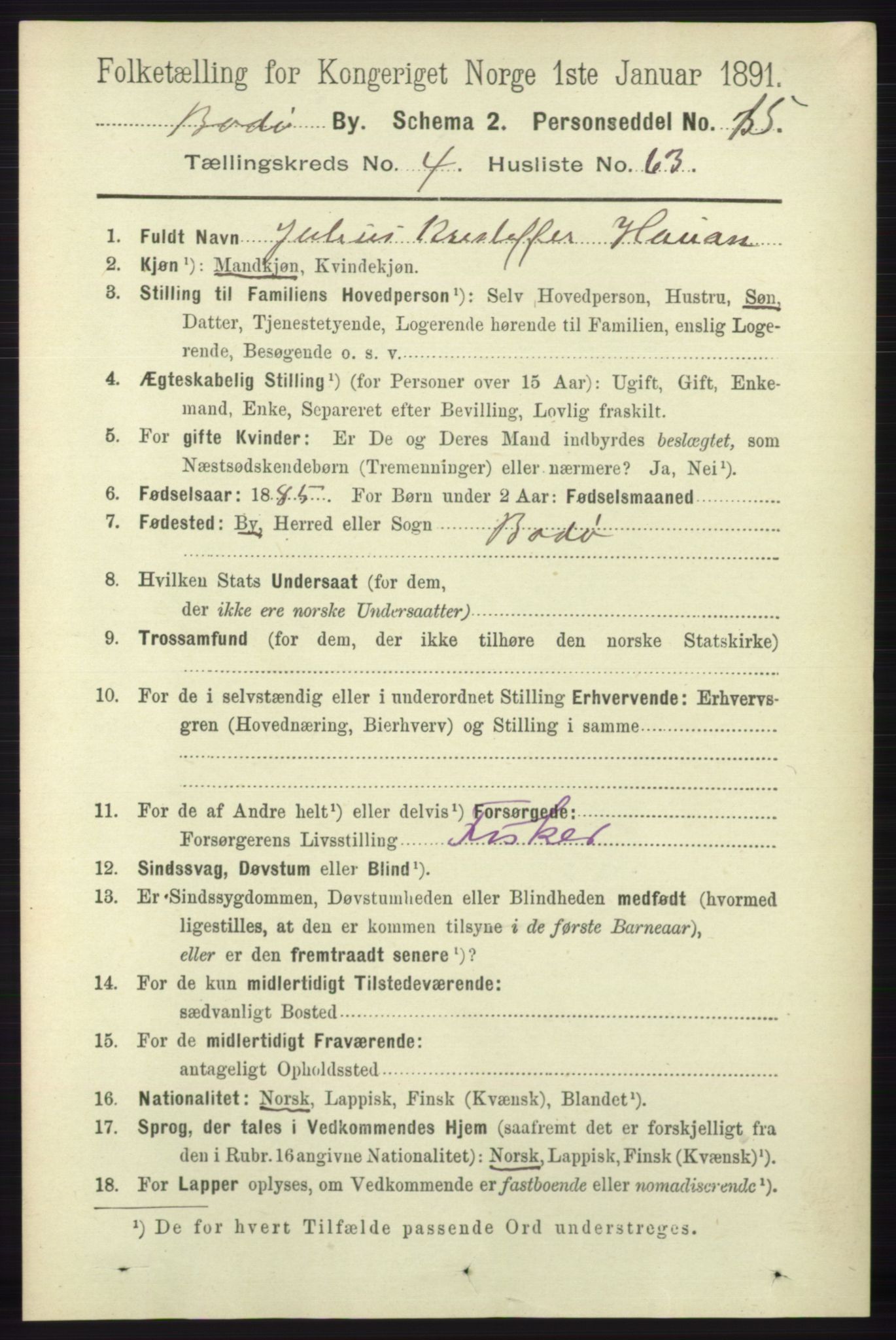 RA, 1891 census for 1804 Bodø, 1891, p. 3784