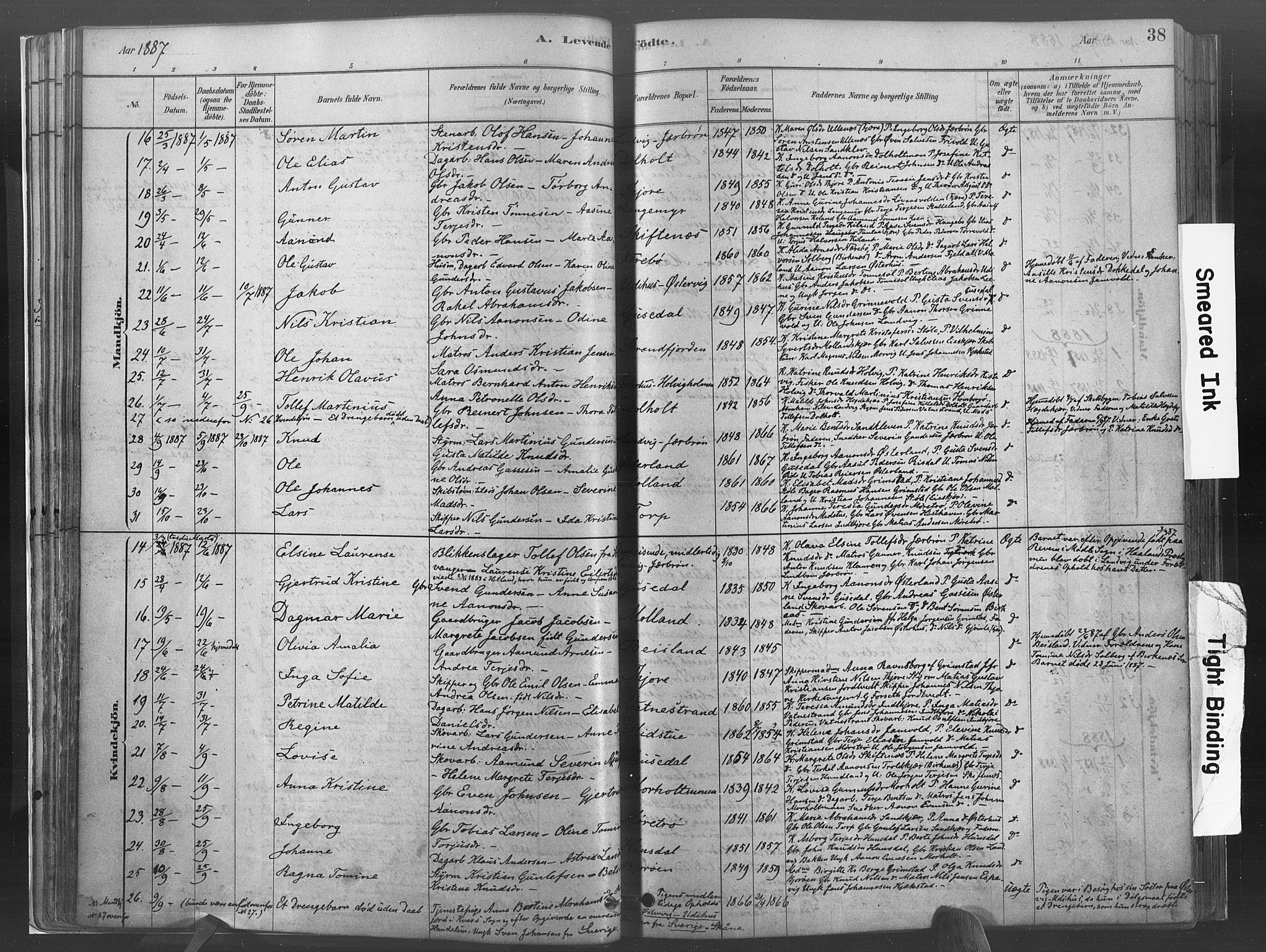 Hommedal sokneprestkontor, AV/SAK-1111-0023/F/Fa/Fab/L0006: Parish register (official) no. A 6, 1878-1897, p. 38