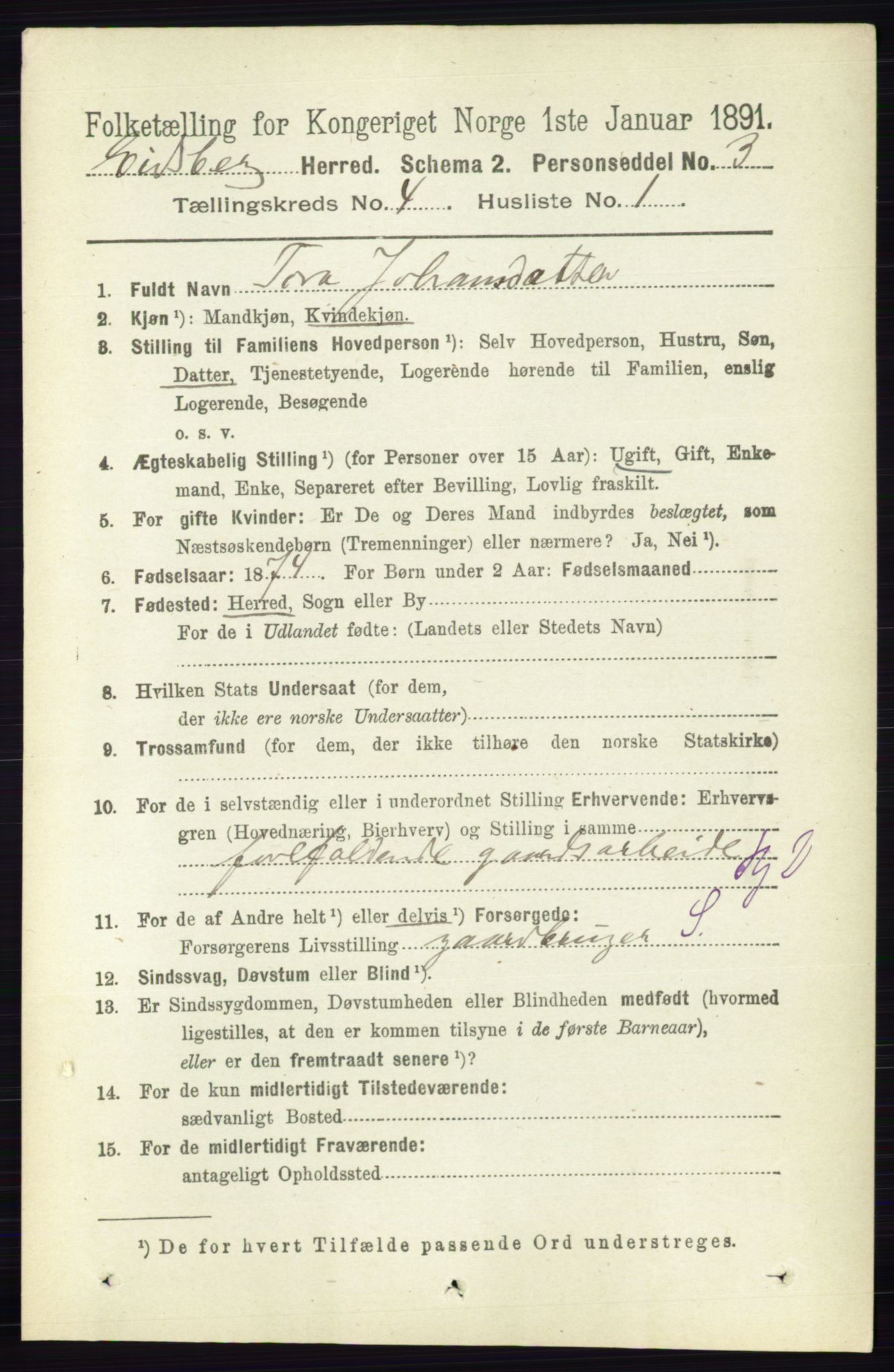 RA, 1891 census for 0125 Eidsberg, 1891, p. 2373