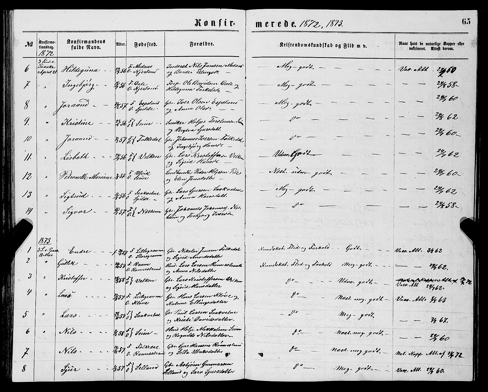 Ulvik sokneprestembete, SAB/A-78801/H/Hab: Parish register (copy) no. B 2, 1869-1883, p. 65