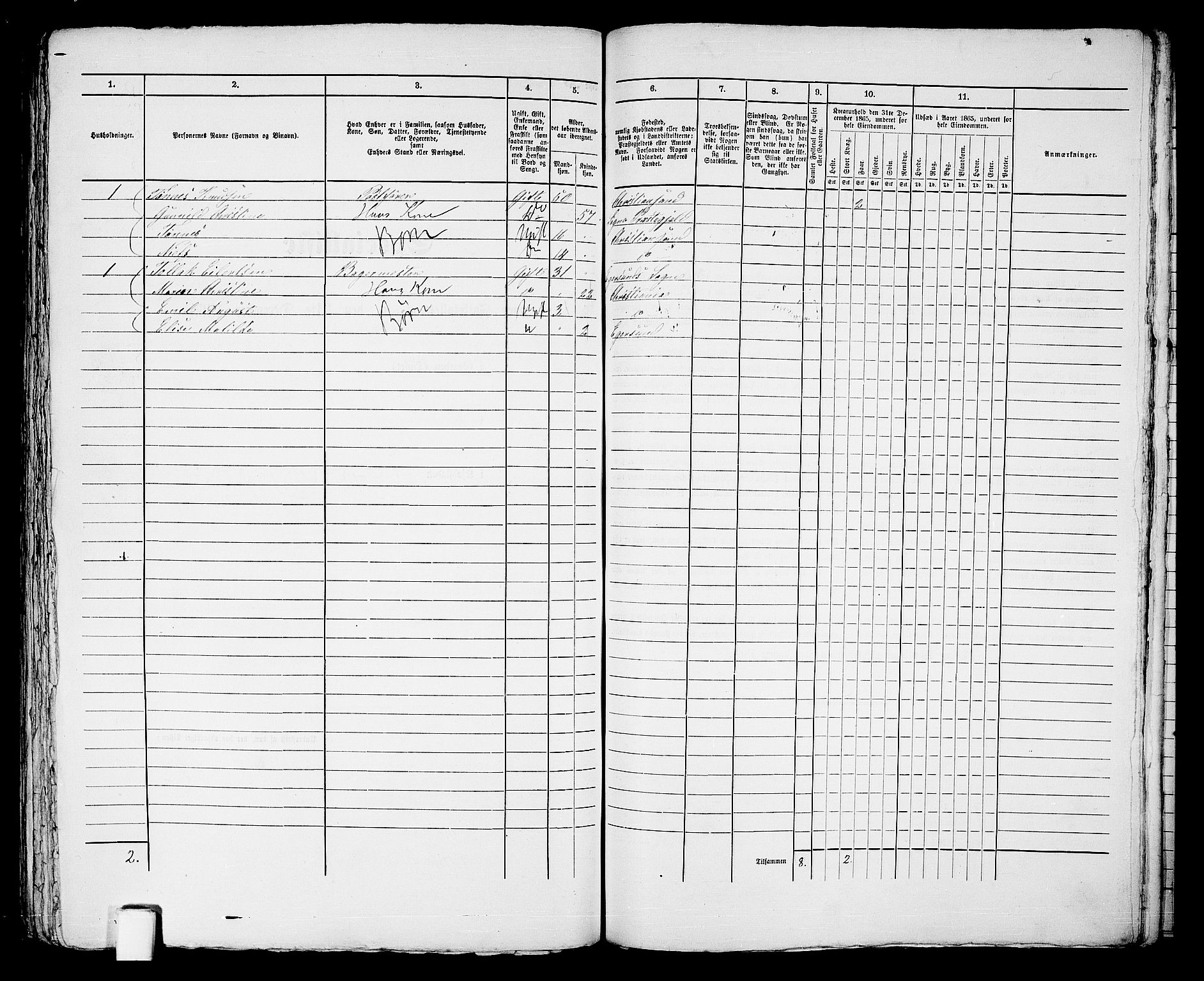 RA, 1865 census for Kristiansand, 1865, p. 460