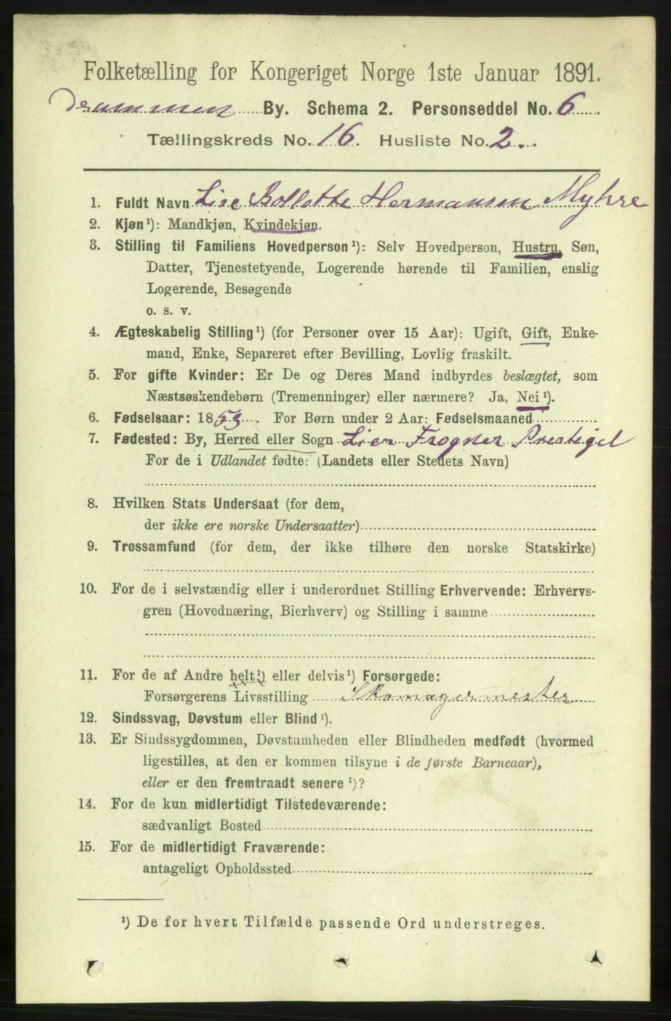 RA, 1891 census for 0602 Drammen, 1891, p. 10969