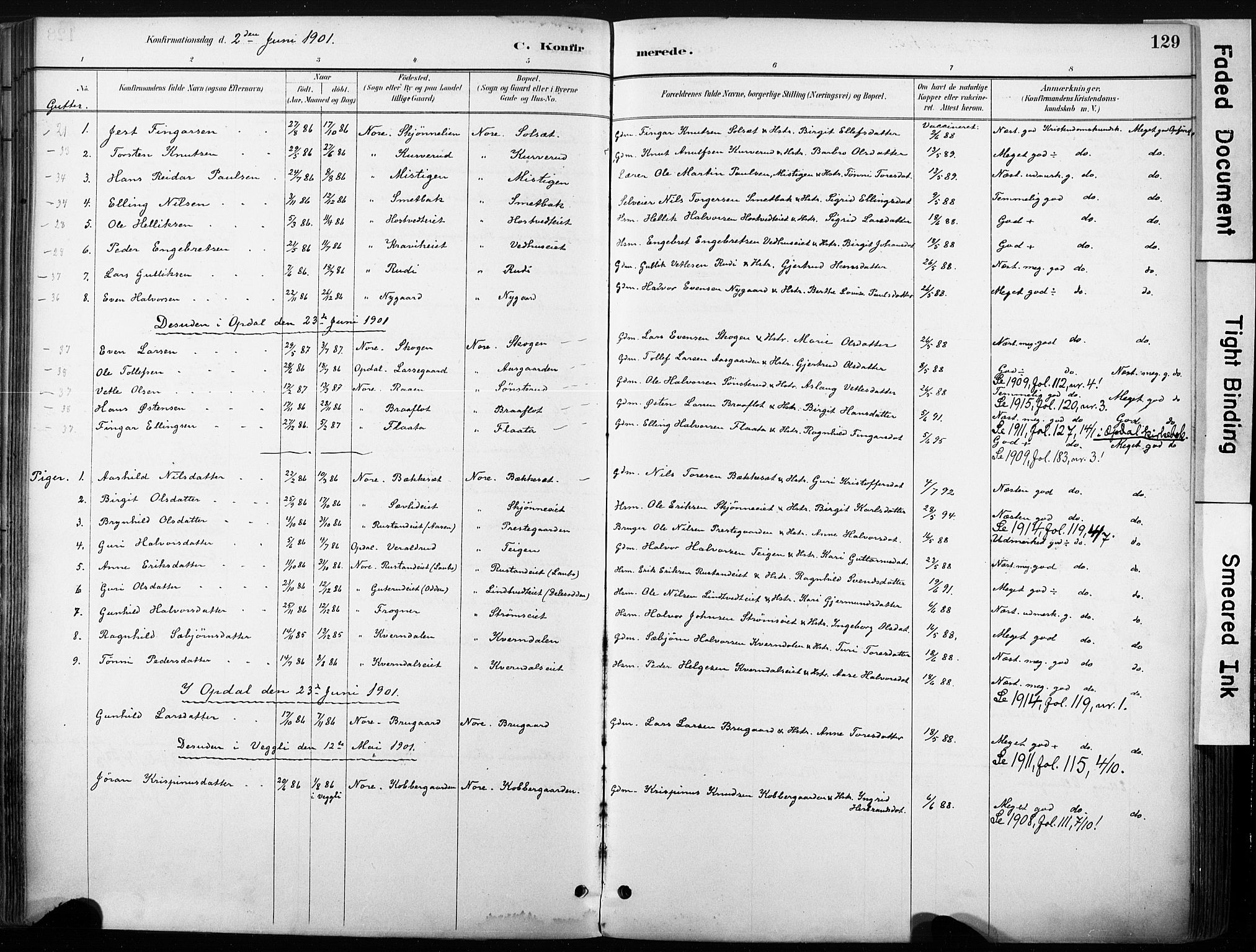 Nore kirkebøker, SAKO/A-238/F/Fb/L0002: Parish register (official) no. II 2, 1886-1906, p. 129