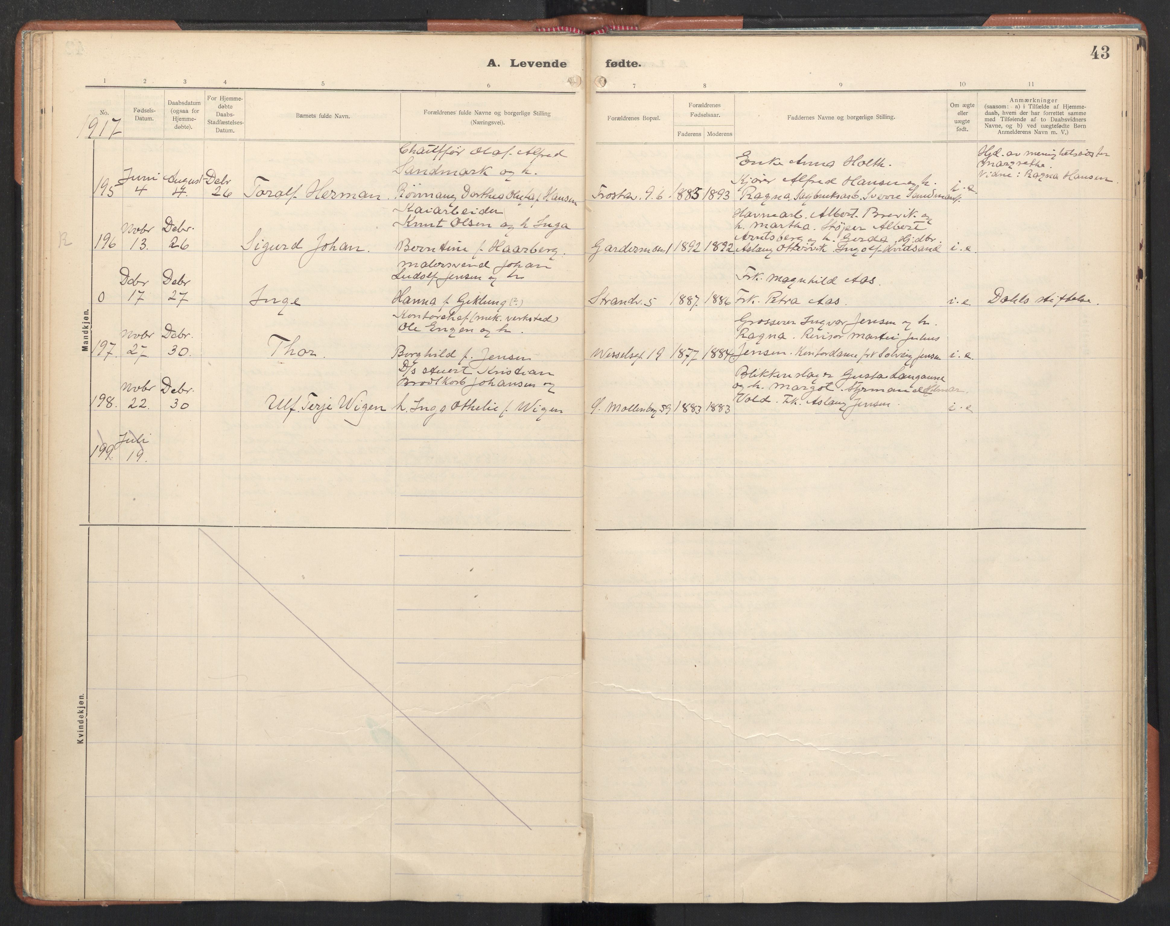 Ministerialprotokoller, klokkerbøker og fødselsregistre - Sør-Trøndelag, SAT/A-1456/605/L0246: Parish register (official) no. 605A08, 1916-1920, p. 43