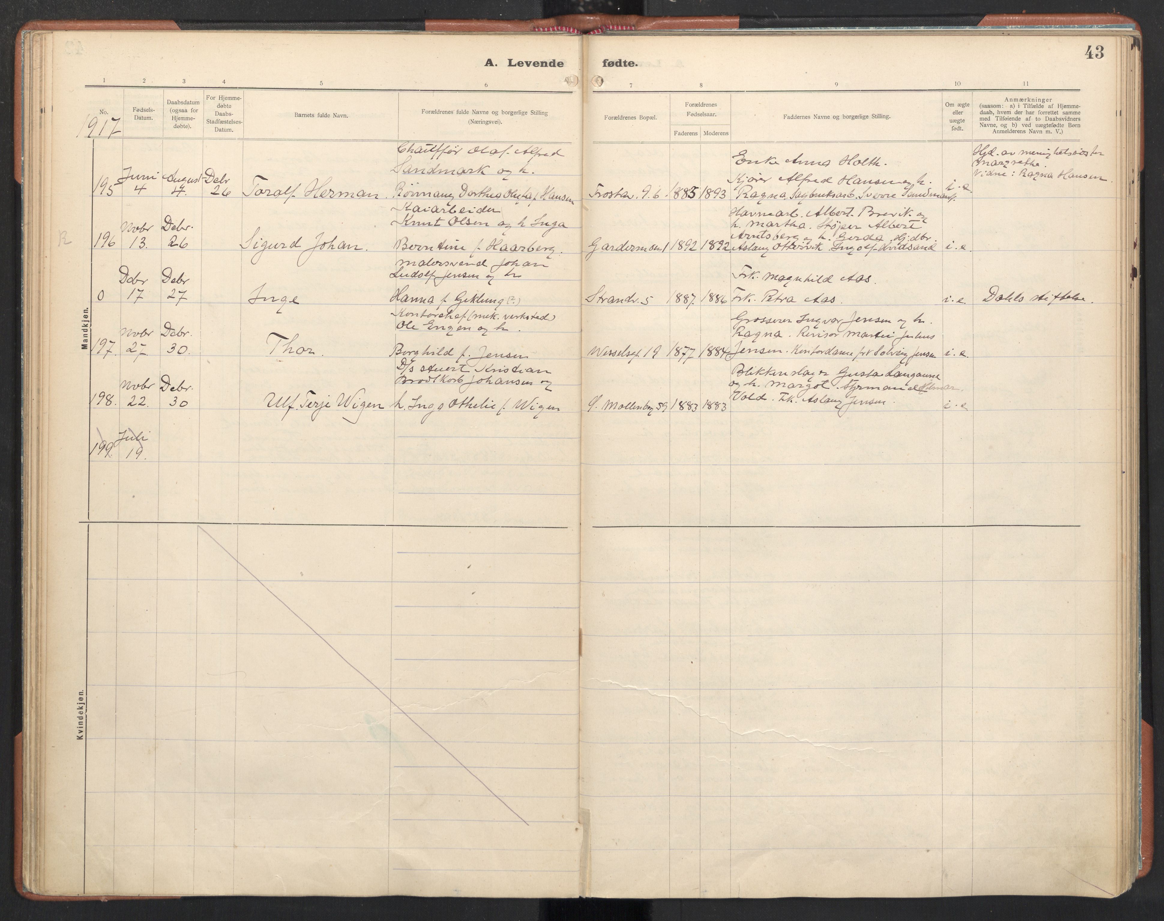 Ministerialprotokoller, klokkerbøker og fødselsregistre - Sør-Trøndelag, AV/SAT-A-1456/605/L0246: Parish register (official) no. 605A08, 1916-1920, p. 43