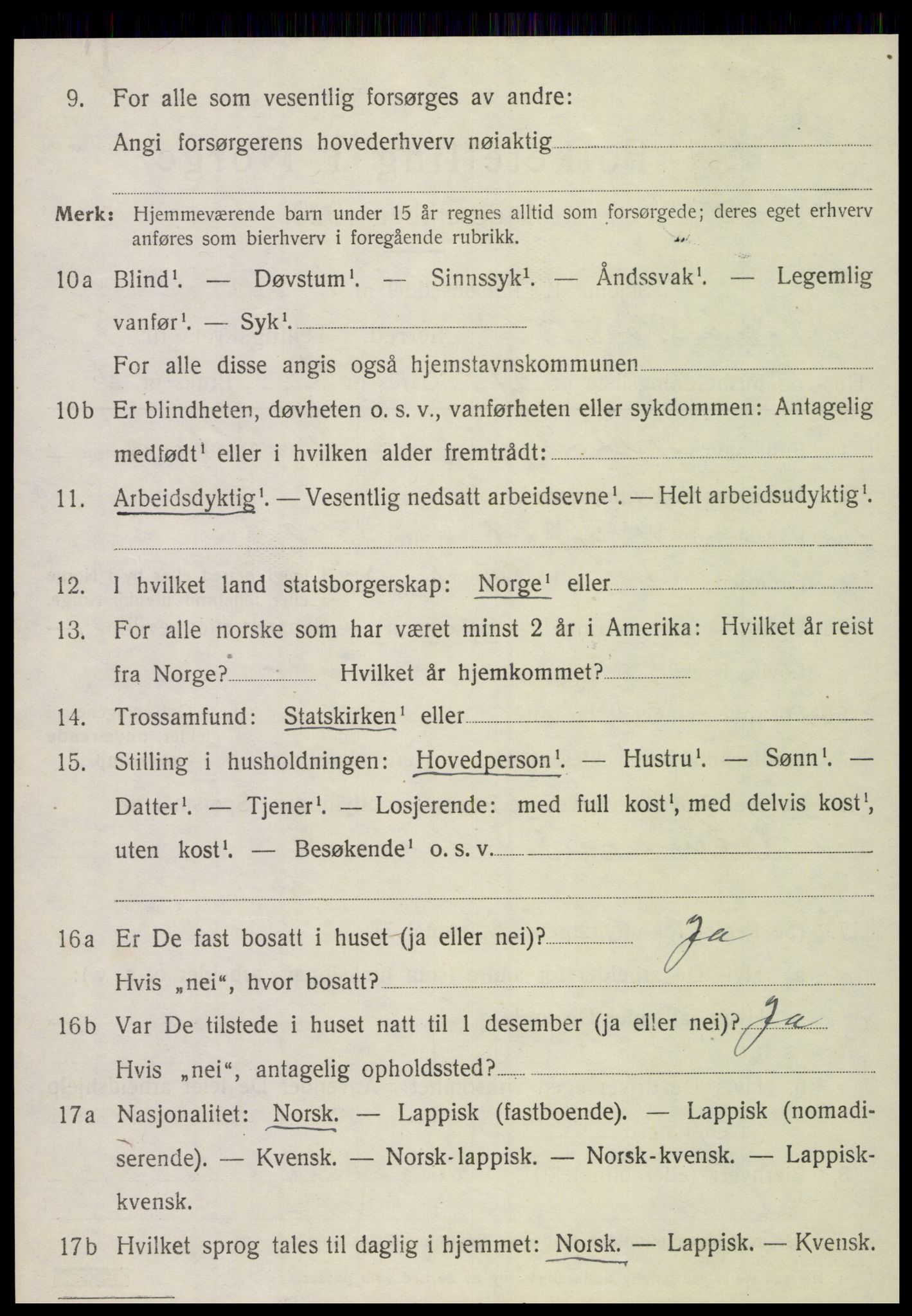 SAT, 1920 census for Vik, 1920, p. 3160