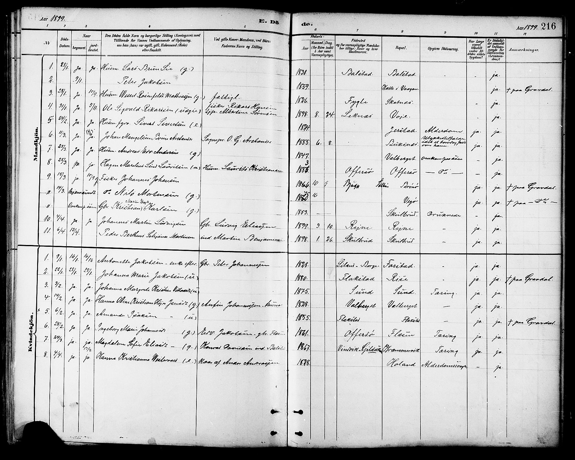 Ministerialprotokoller, klokkerbøker og fødselsregistre - Nordland, AV/SAT-A-1459/881/L1167: Parish register (copy) no. 881C04, 1886-1899, p. 216