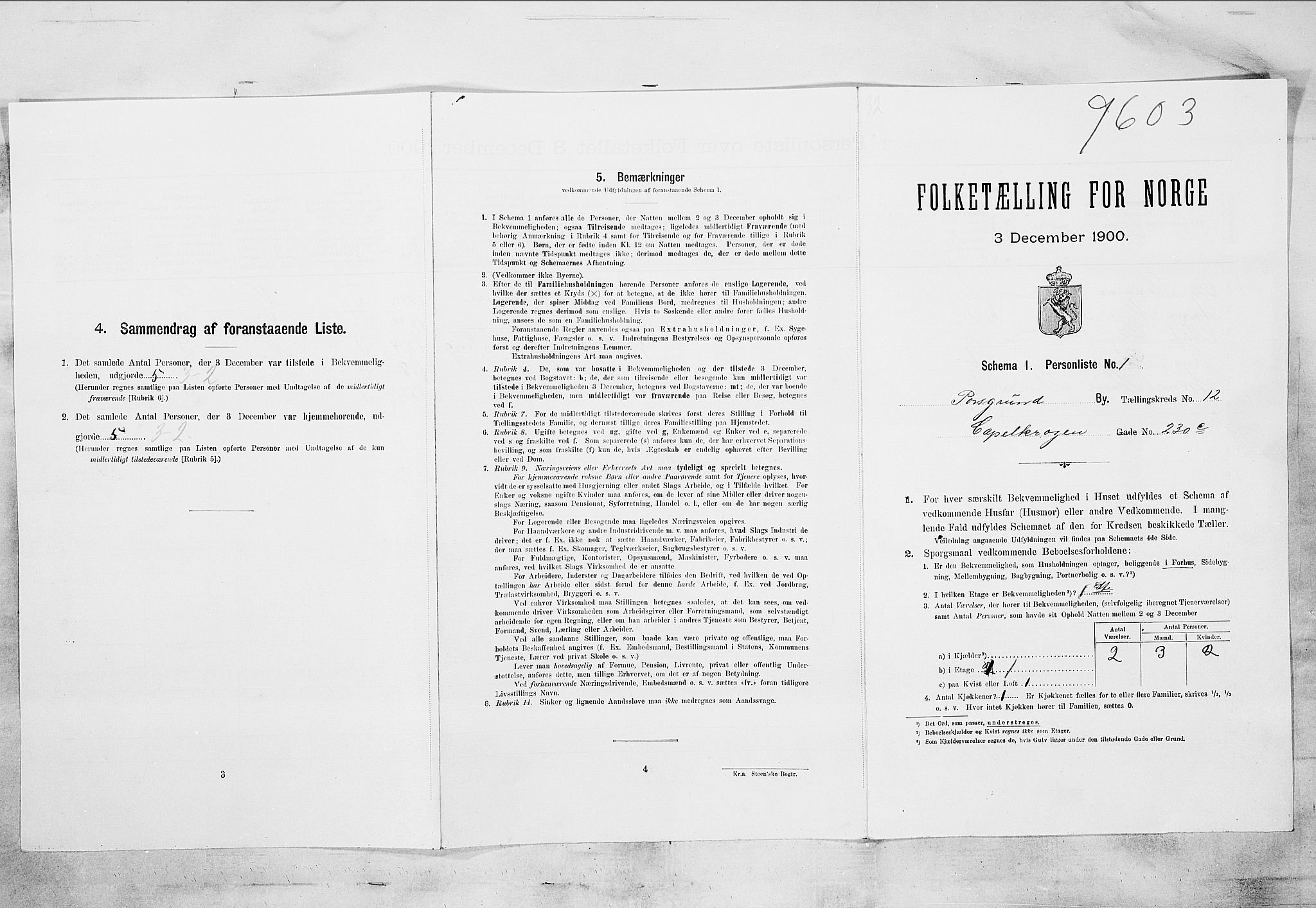 SAKO, 1900 census for Porsgrunn, 1900, p. 3580