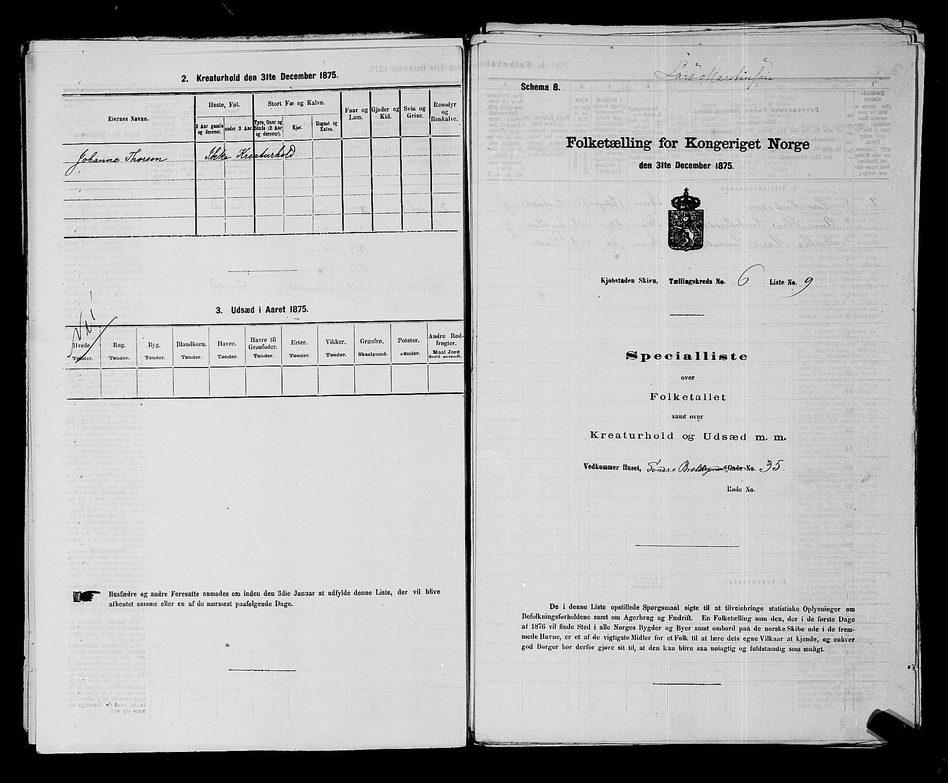 SAKO, 1875 census for 0806P Skien, 1875, p. 979