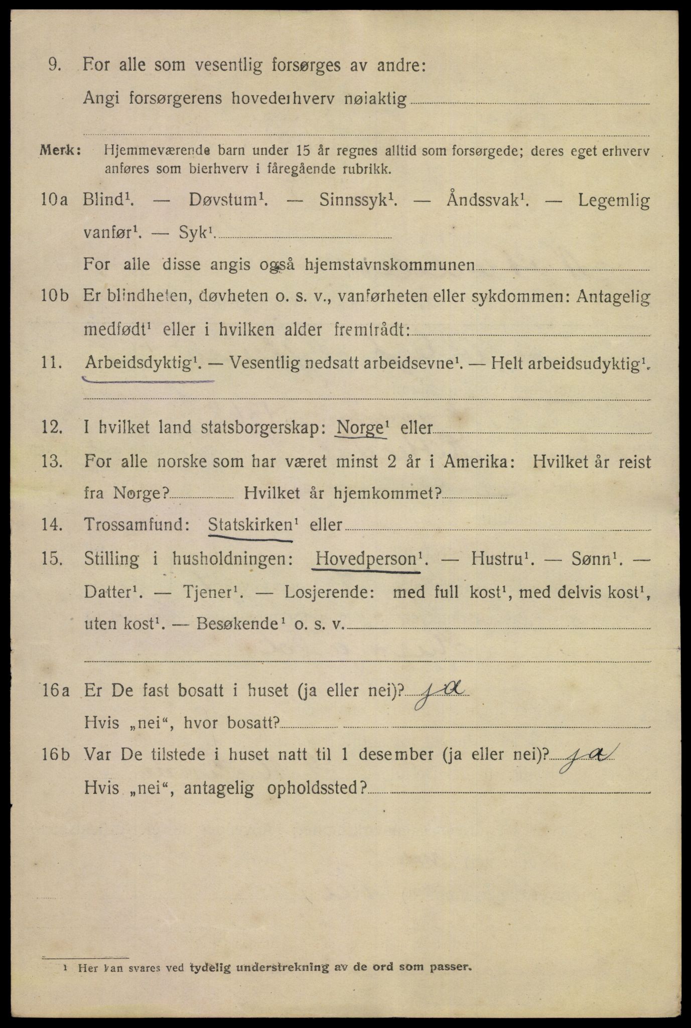 SAKO, 1920 census for Notodden, 1920, p. 15197