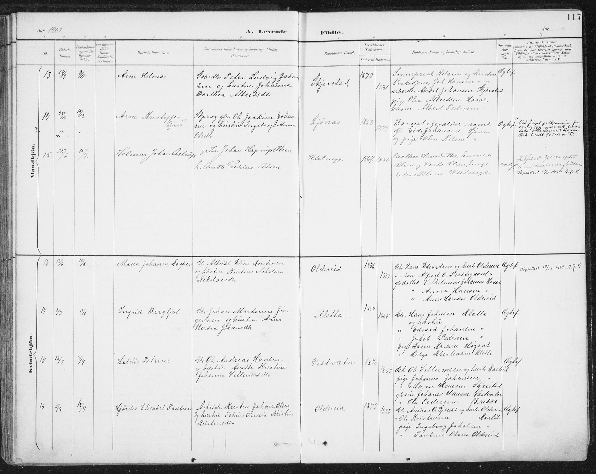 Ministerialprotokoller, klokkerbøker og fødselsregistre - Nordland, AV/SAT-A-1459/852/L0741: Parish register (official) no. 852A11, 1894-1917, p. 117