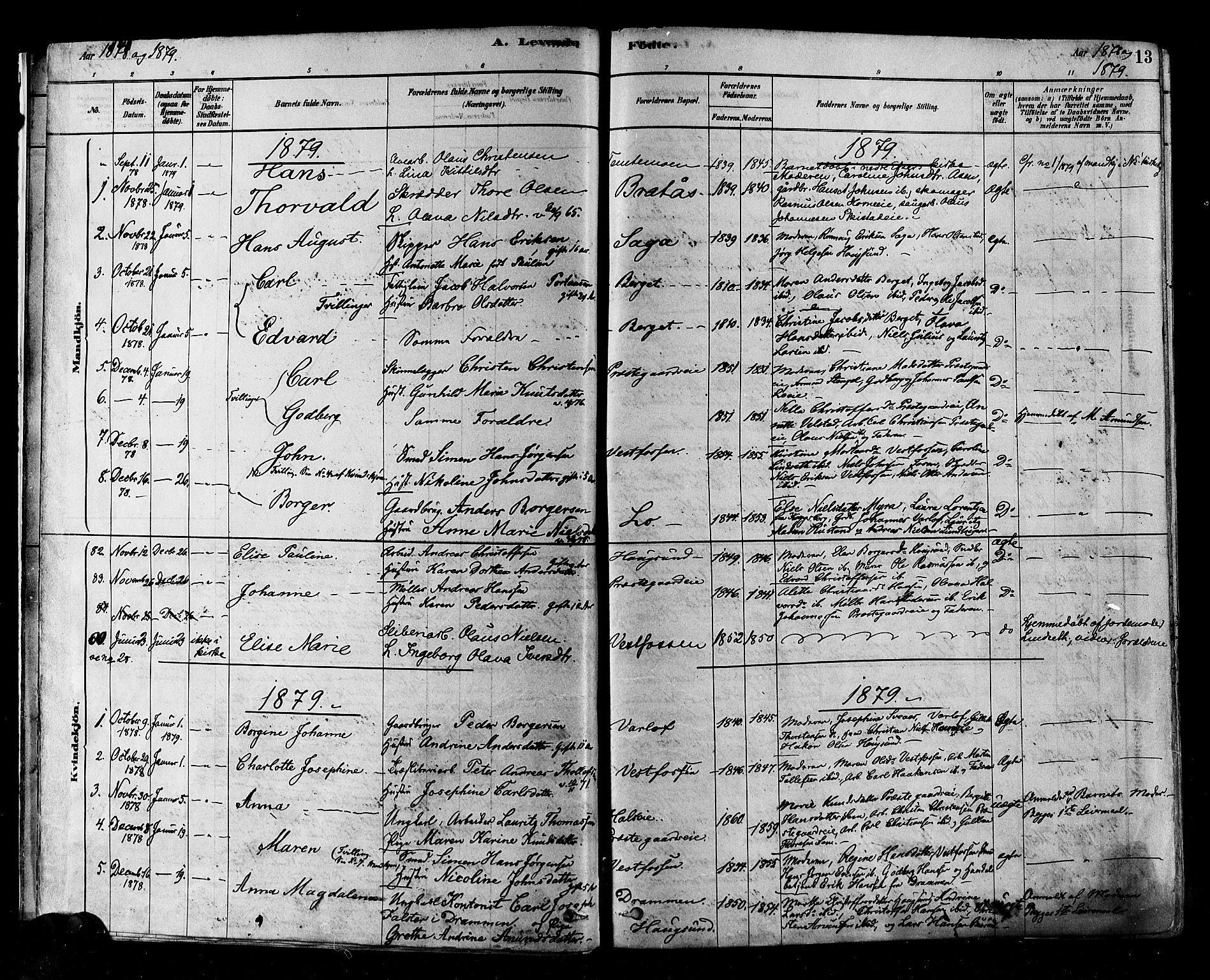 Eiker kirkebøker, SAKO/A-4/F/Fb/L0001: Parish register (official) no. II 1, 1878-1888, p. 13