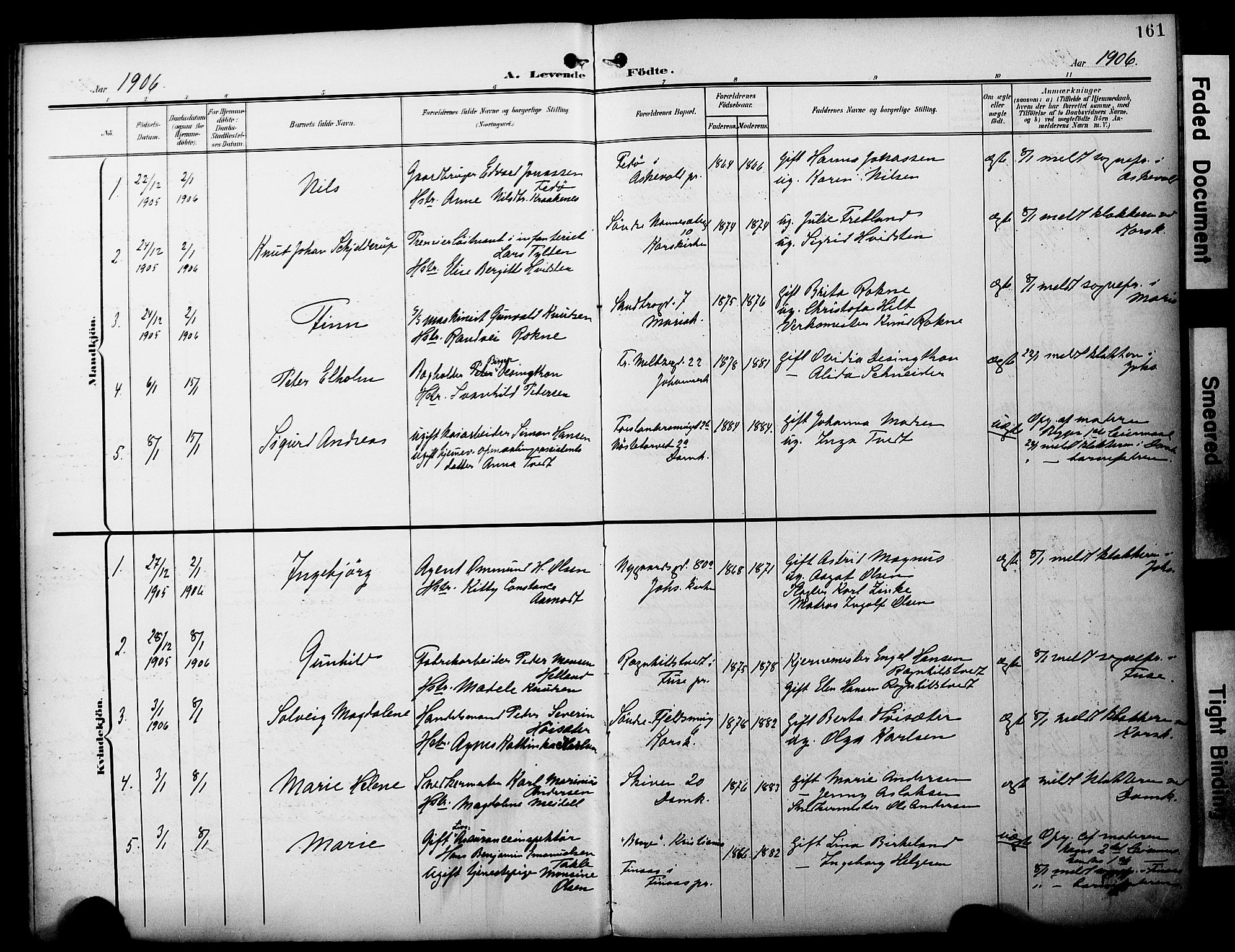 Fødselsstiftelsens sokneprestembete*, SAB/-: Parish register (official) no. A 3, 1901-1910, p. 161