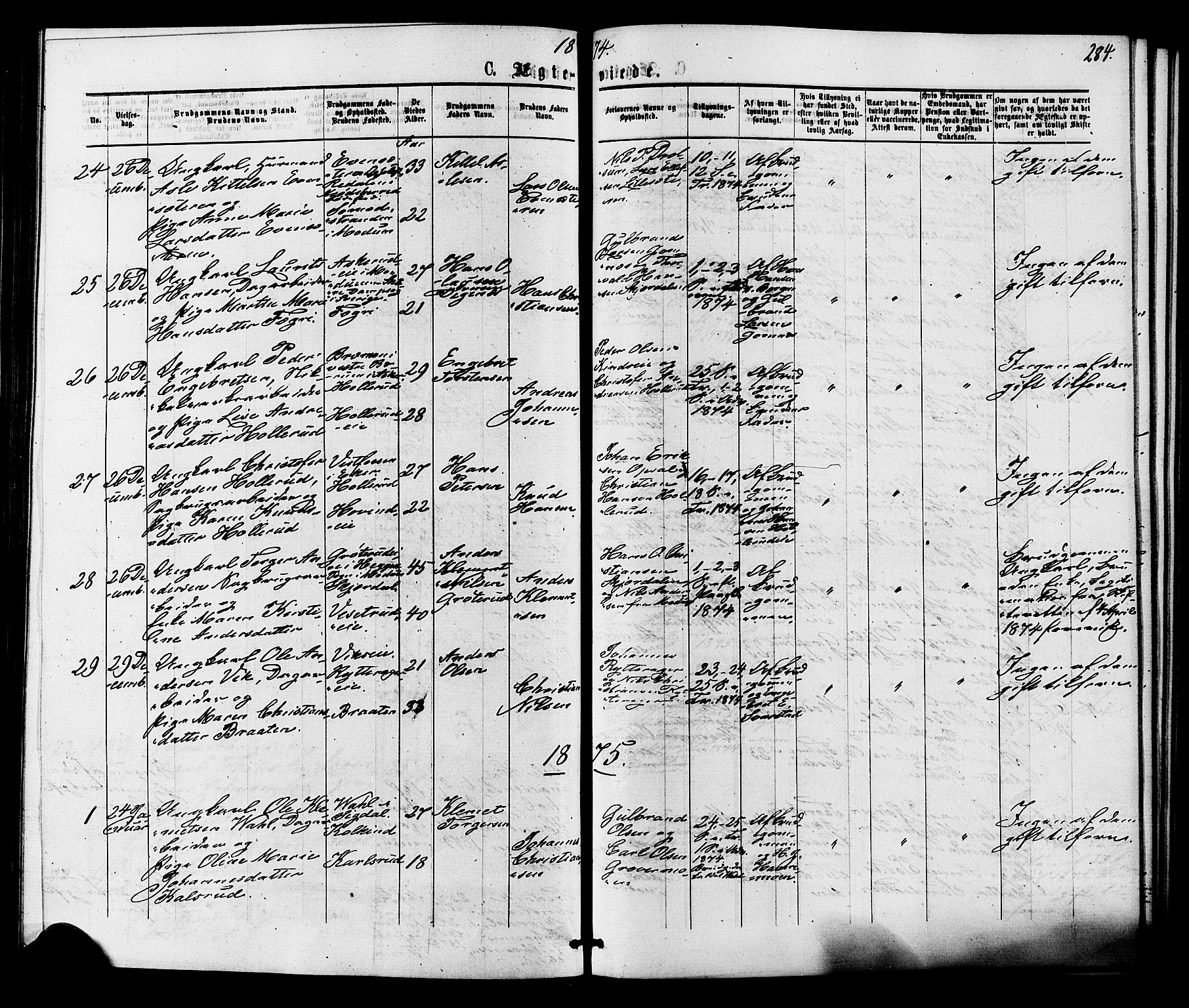 Hole kirkebøker, SAKO/A-228/F/Fa/L0007: Parish register (official) no. I 7, 1873-1877, p. 284