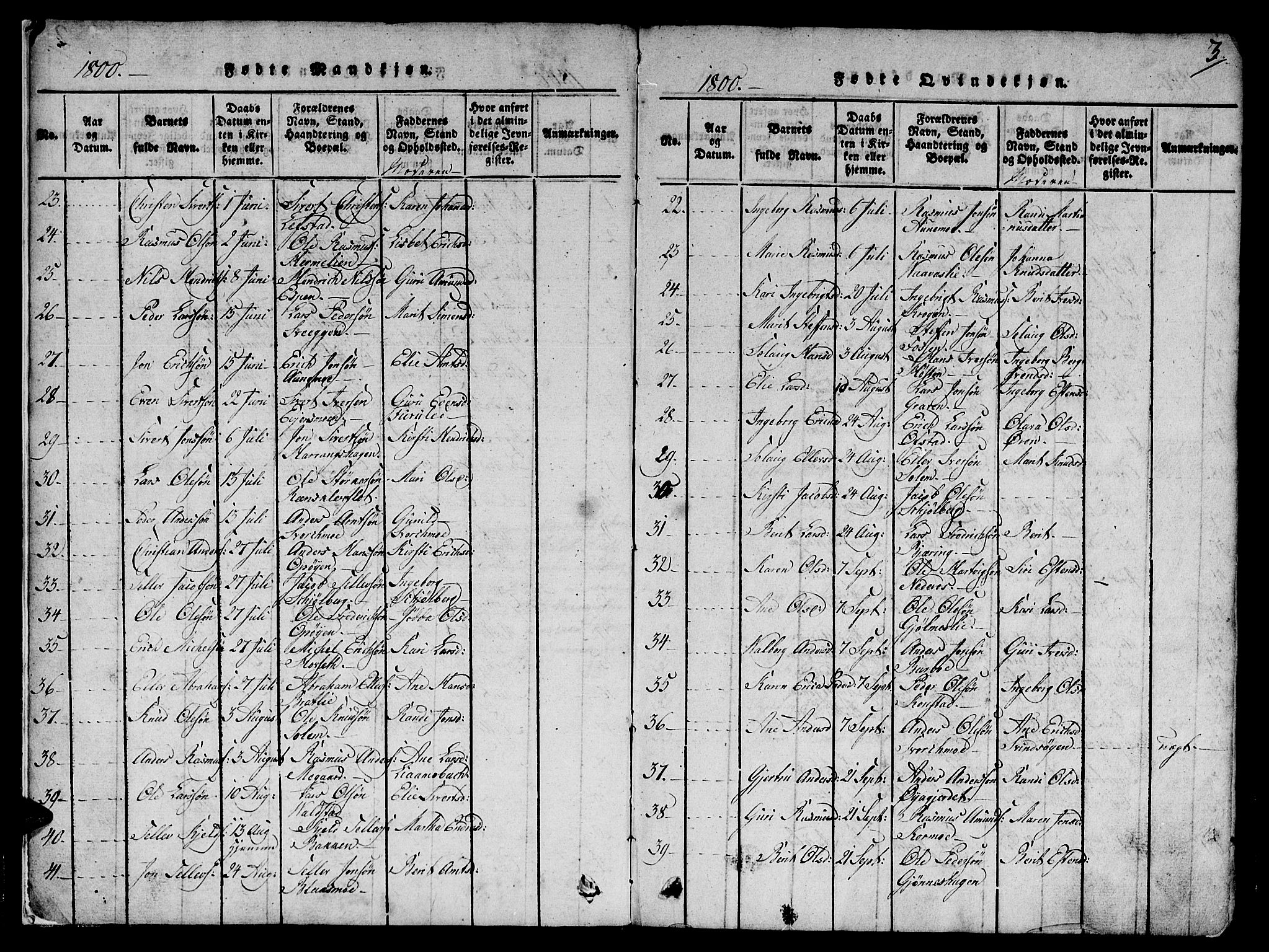 Ministerialprotokoller, klokkerbøker og fødselsregistre - Sør-Trøndelag, SAT/A-1456/668/L0803: Parish register (official) no. 668A03, 1800-1826, p. 3