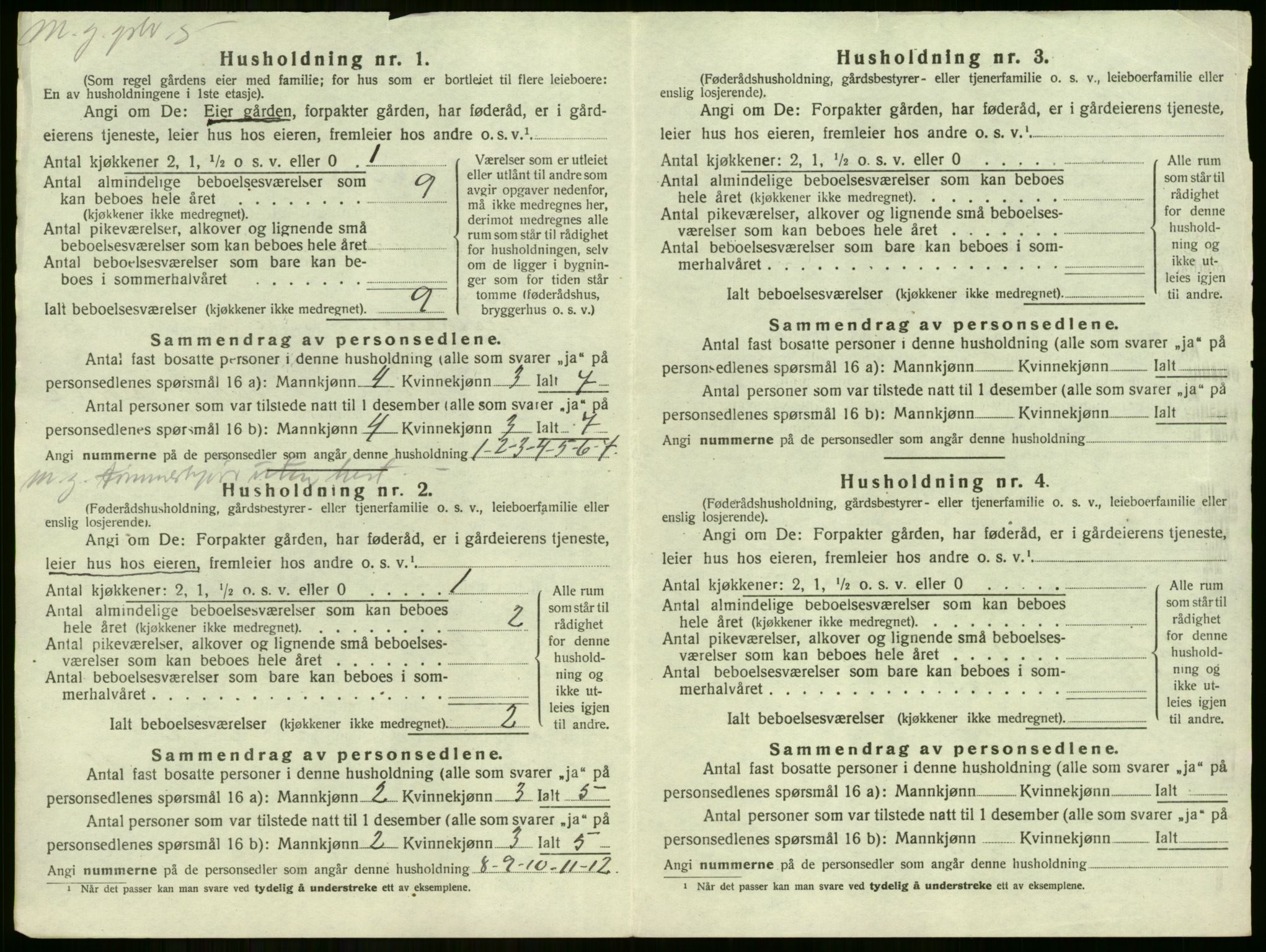 SAKO, 1920 census for Tyristrand, 1920, p. 133