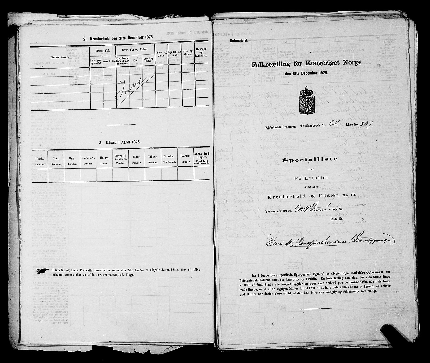 SAKO, 1875 census for 0602 Drammen, 1875, p. 2381