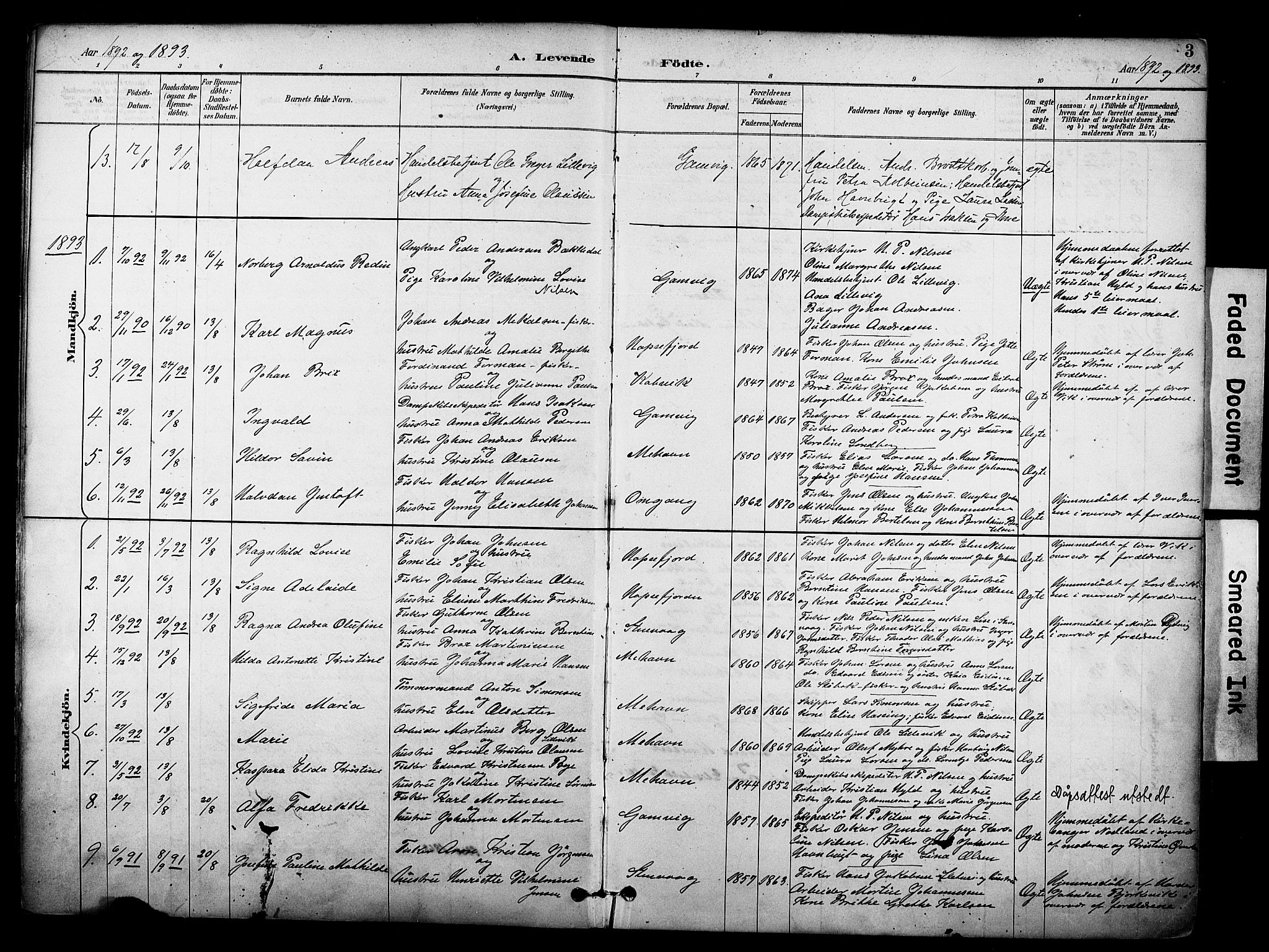 Tana sokneprestkontor, SATØ/S-1334/H/Ha/L0006kirke: Parish register (official) no. 6, 1892-1908, p. 3