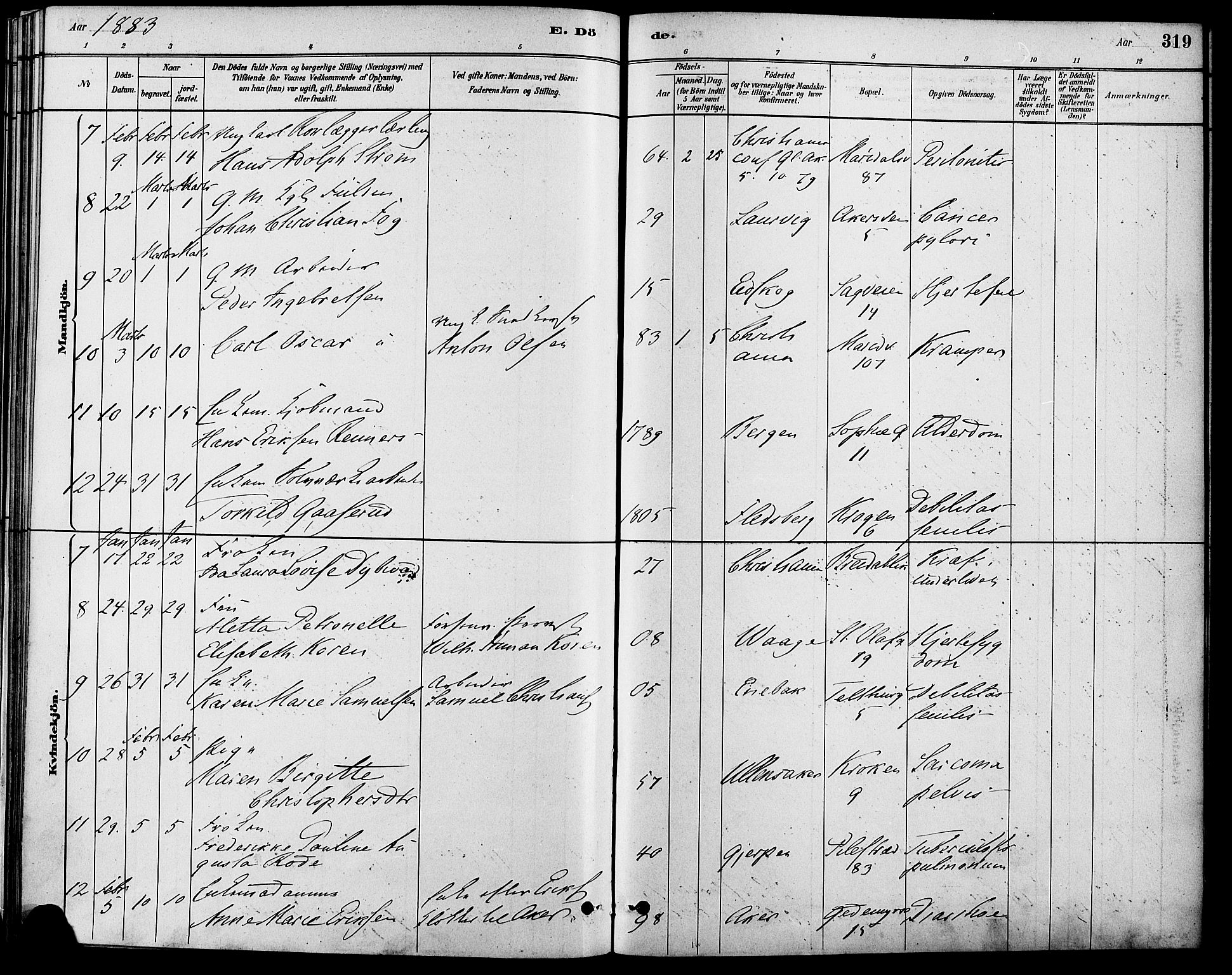 Gamle Aker prestekontor Kirkebøker, SAO/A-10617a/F/L0006: Parish register (official) no. 6, 1880-1887, p. 319