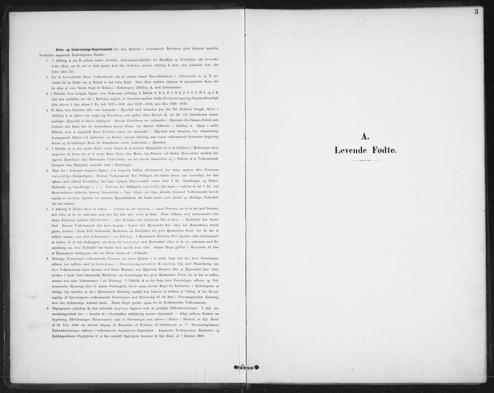Varteig prestekontor Kirkebøker, SAO/A-10447a/F/Fa/L0003: Parish register (official) no. 3, 1899-1919, p. 3