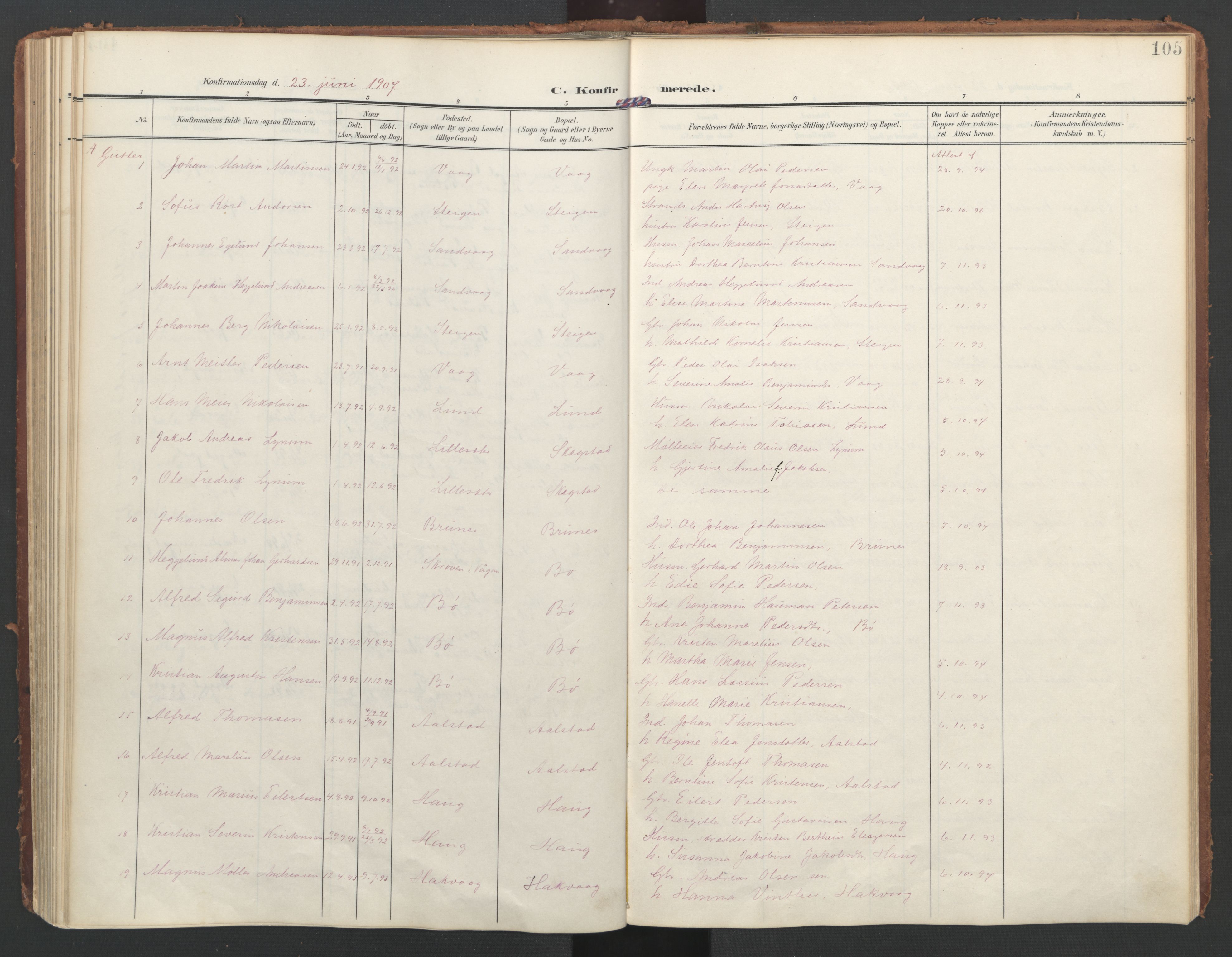 Ministerialprotokoller, klokkerbøker og fødselsregistre - Nordland, AV/SAT-A-1459/855/L0805: Parish register (official) no. 855A13, 1906-1920, p. 105