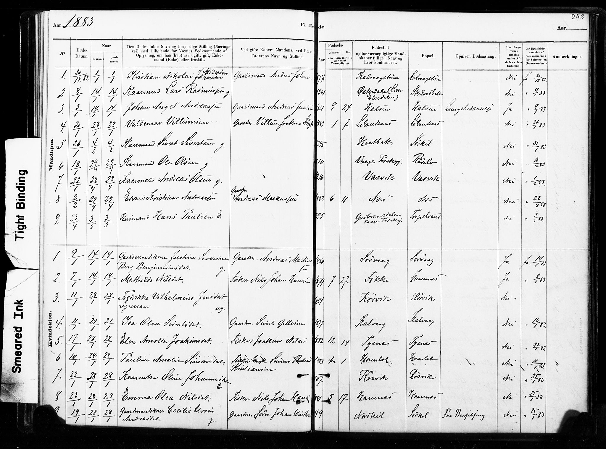 Ministerialprotokoller, klokkerbøker og fødselsregistre - Nordland, SAT/A-1459/859/L0846: Parish register (official) no. 859A06, 1878-1889, p. 252