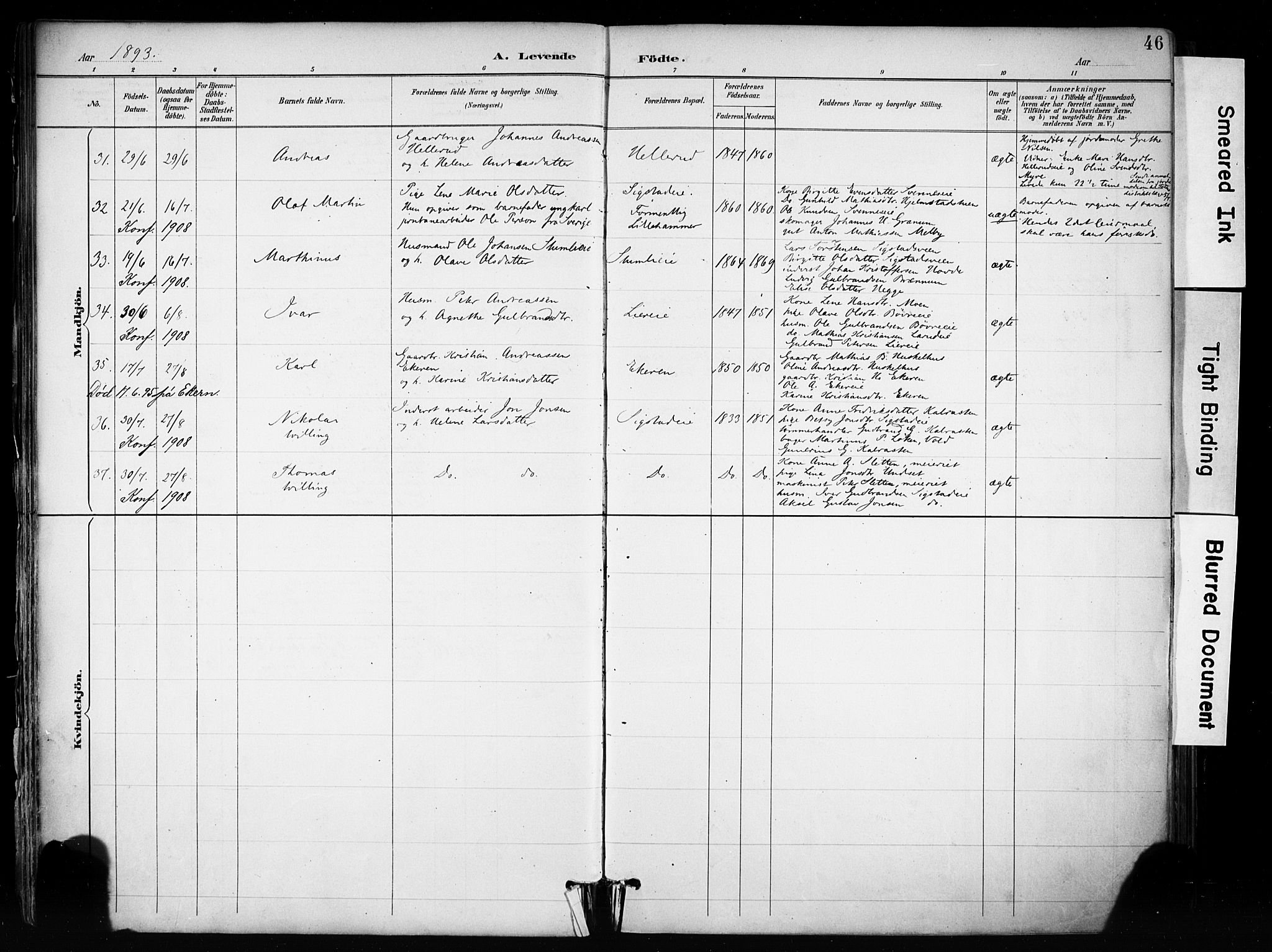 Biri prestekontor, AV/SAH-PREST-096/H/Ha/Haa/L0009: Parish register (official) no. 9, 1887-1900, p. 46