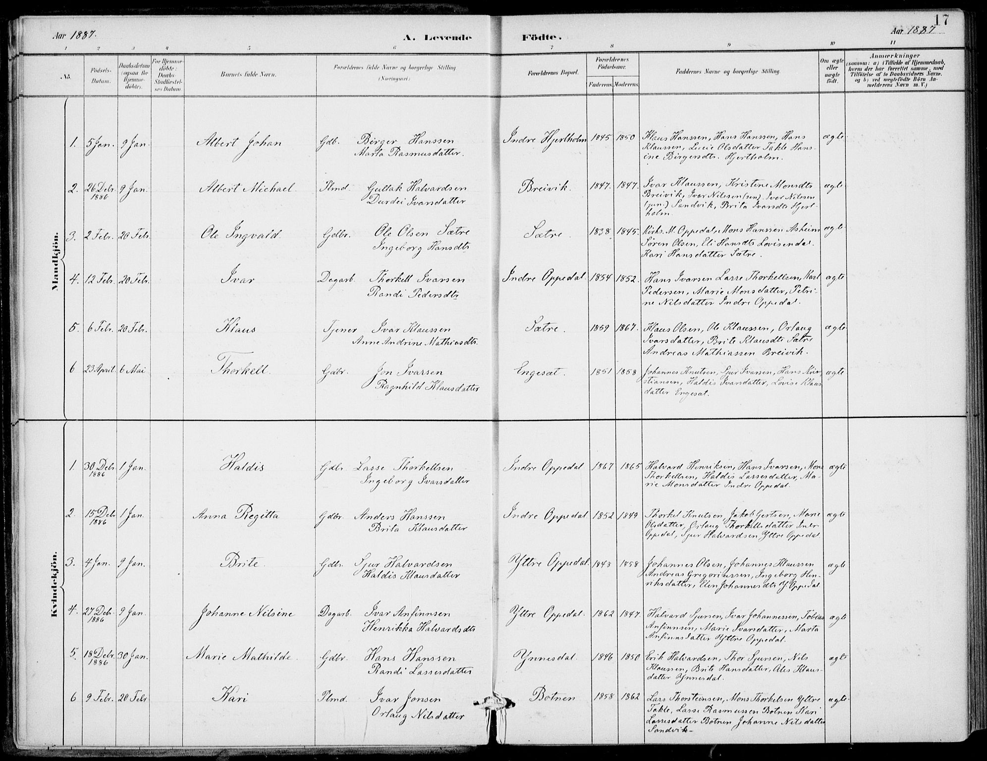 Gulen sokneprestembete, SAB/A-80201/H/Haa/Haac/L0002: Parish register (official) no. C  2, 1882-1914, p. 17
