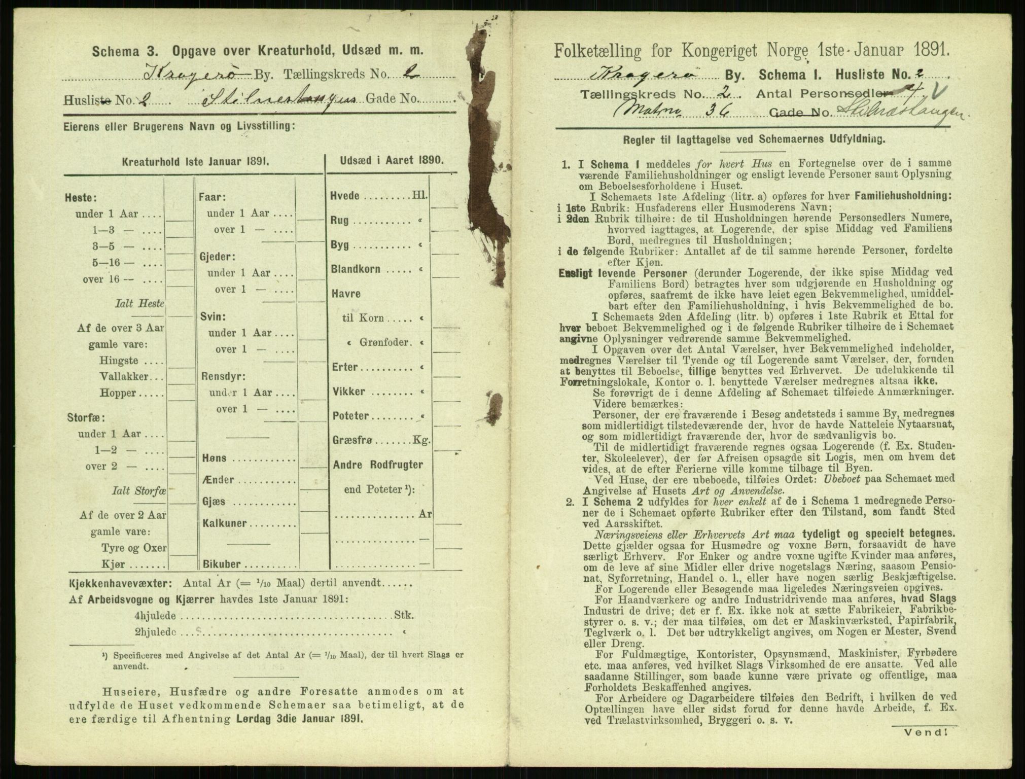 RA, 1891 census for 0801 Kragerø, 1891, p. 294