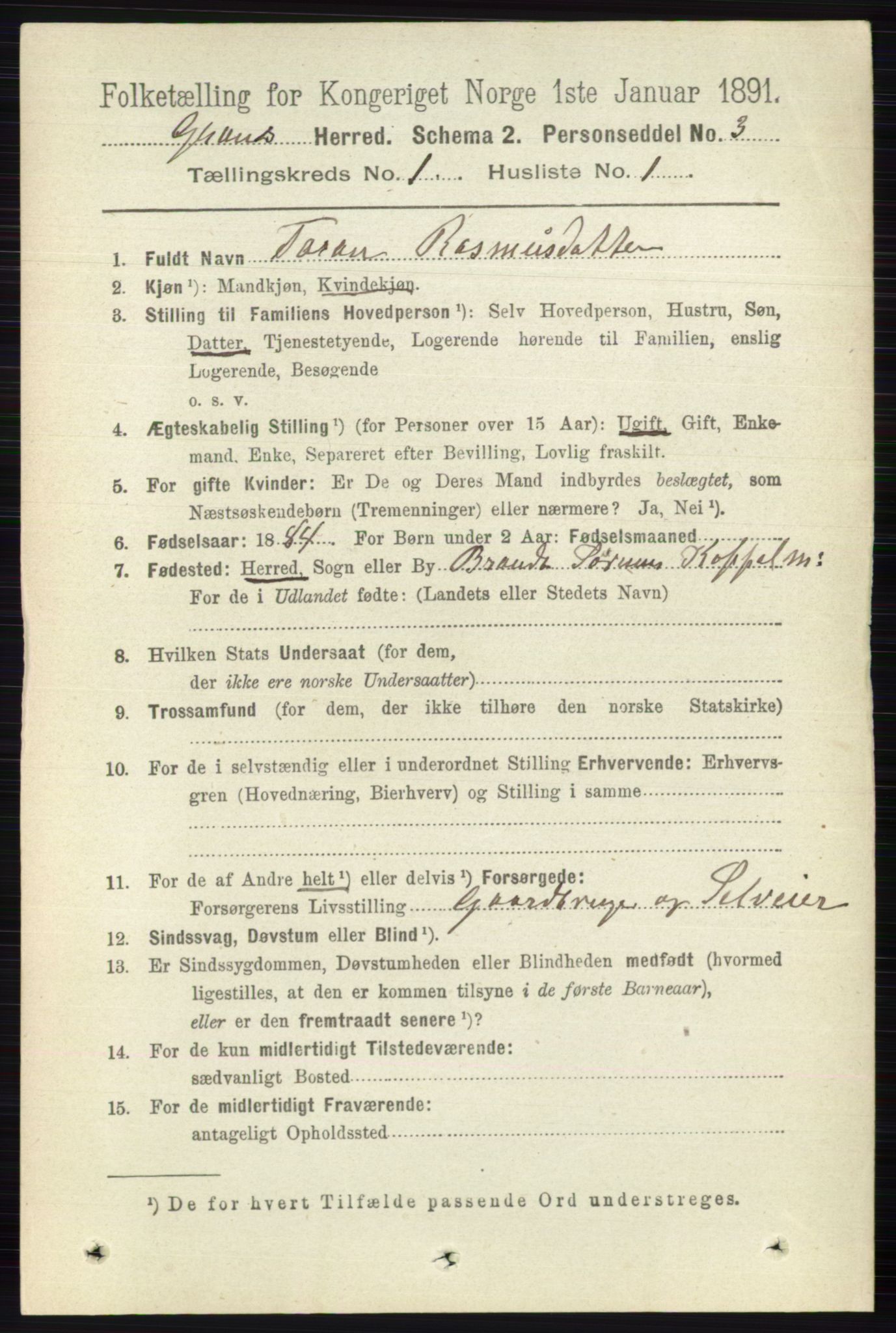 RA, 1891 census for 0534 Gran, 1891, p. 55