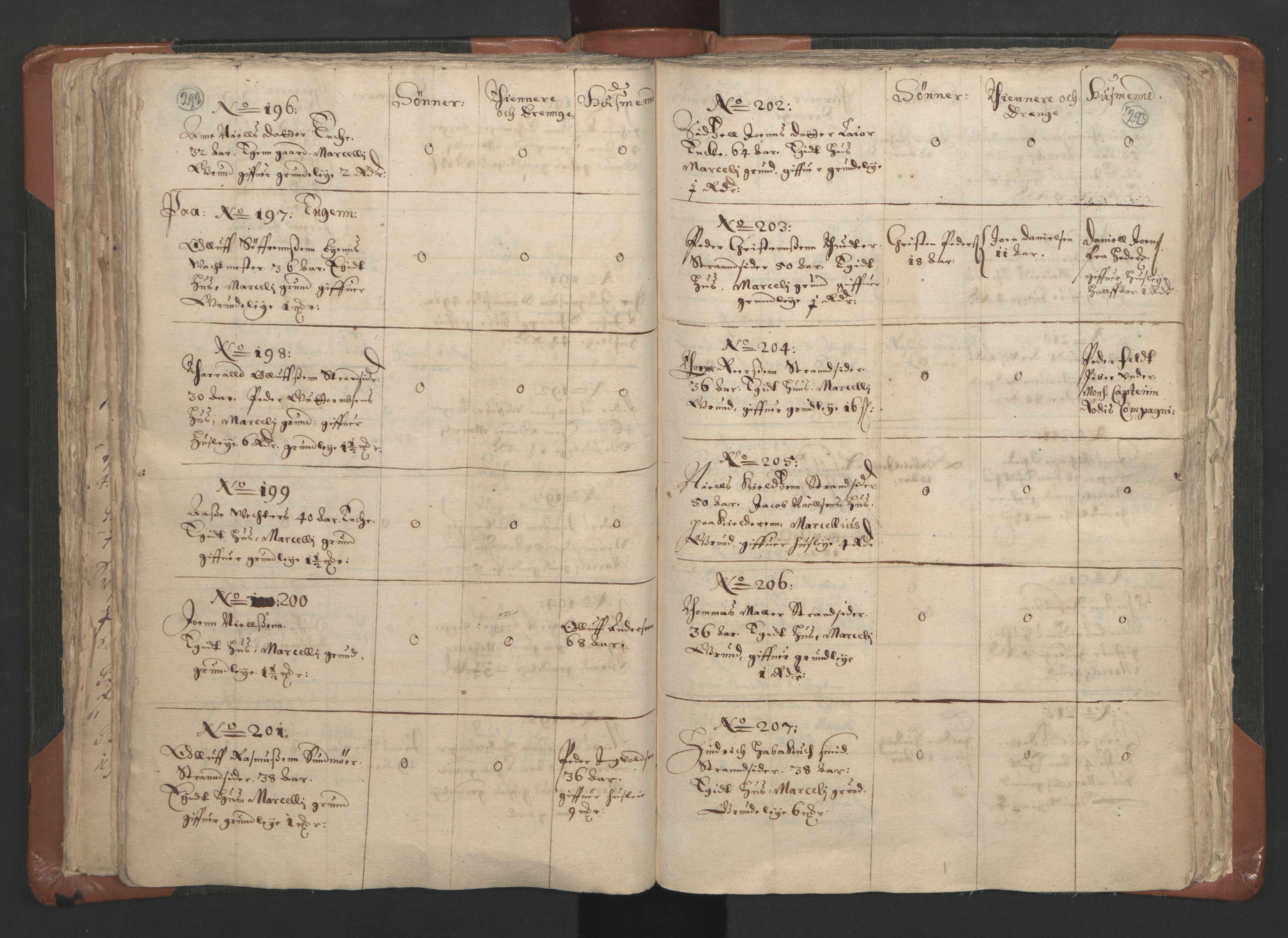 RA, Vicar's Census 1664-1666, no. 9: Bragernes deanery, 1664-1666, p. 292-293