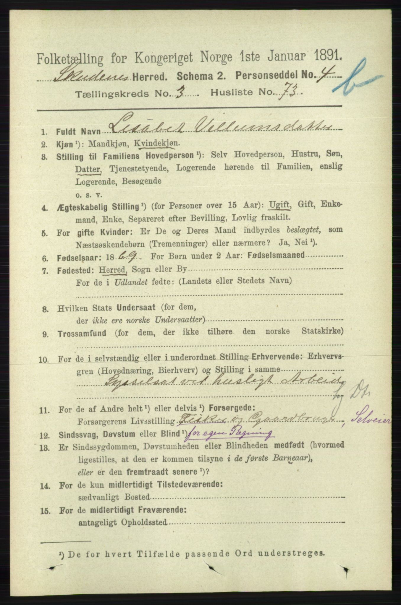 RA, 1891 census for 1150 Skudenes, 1891, p. 4383
