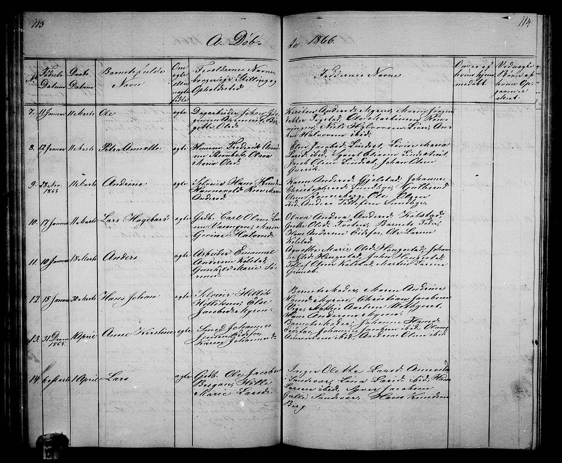 Hof kirkebøker, SAKO/A-64/G/Ga/L0002: Parish register (copy) no. I 2, 1859-1873, p. 113-114