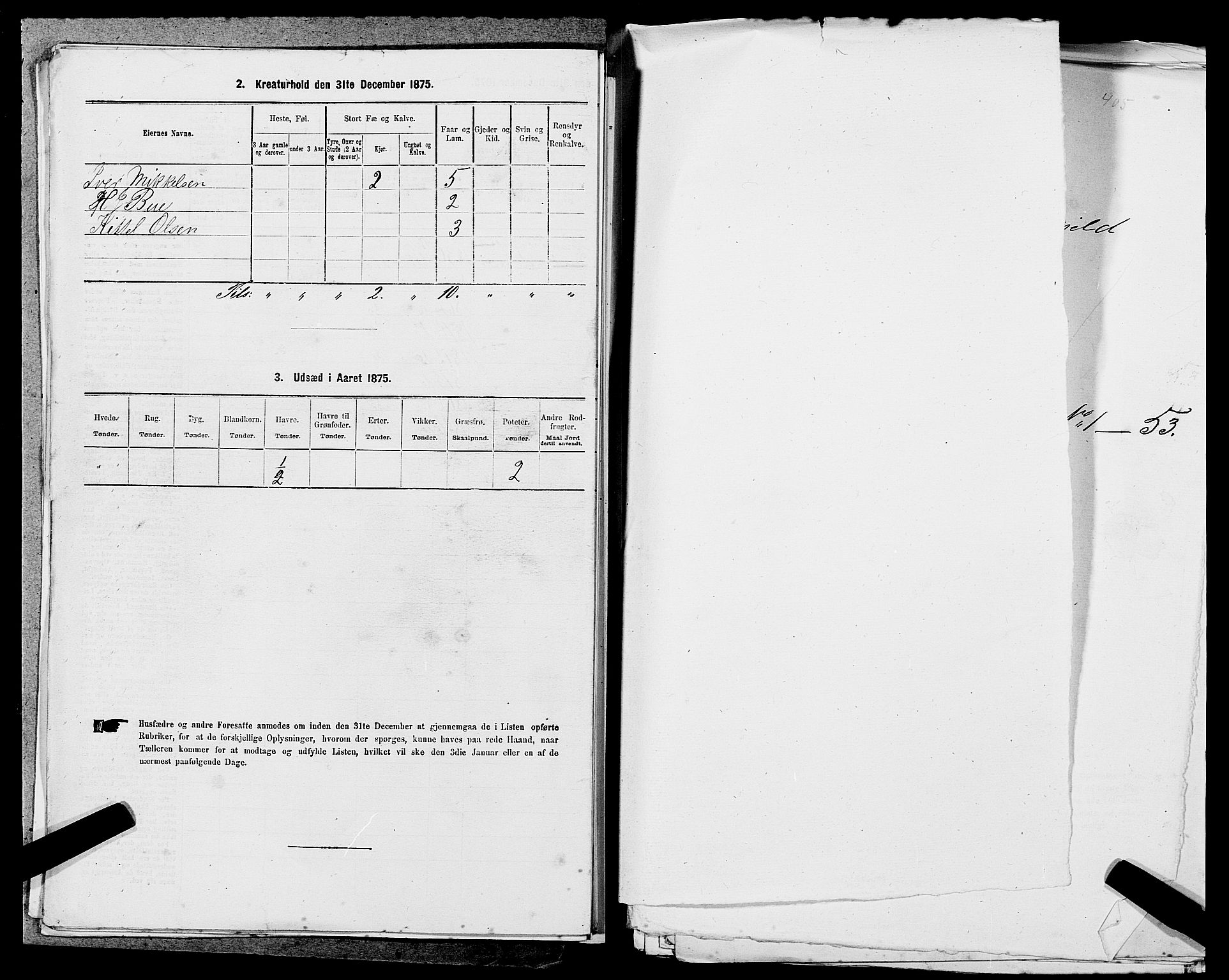 SAST, 1875 census for 1115P Helleland, 1875, p. 975