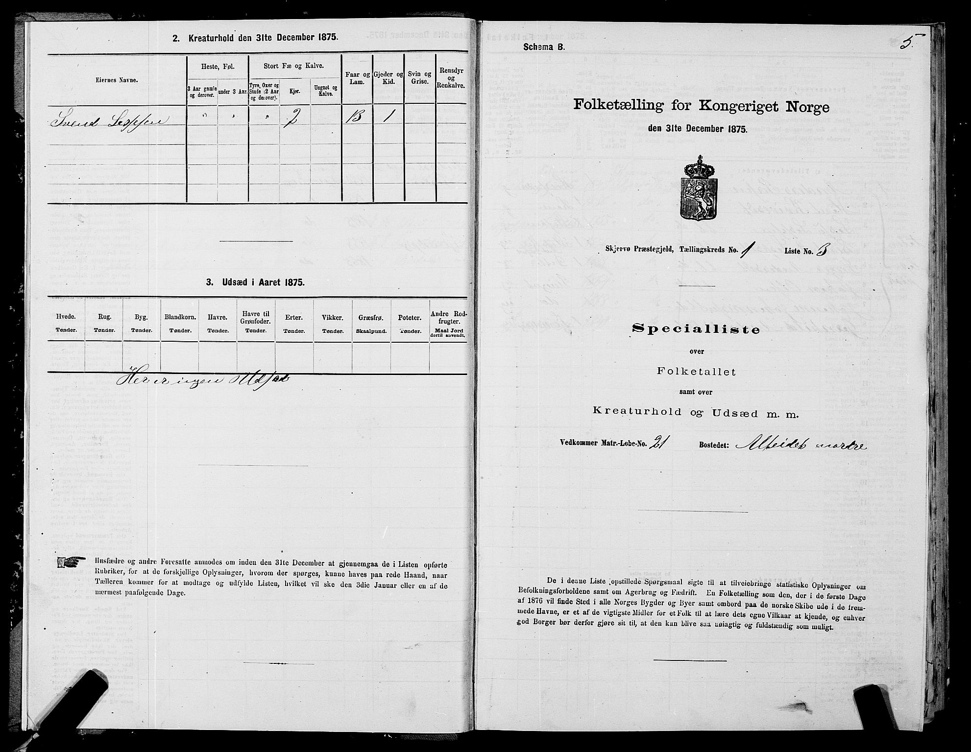 SATØ, 1875 census for 1941P Skjervøy, 1875, p. 1005