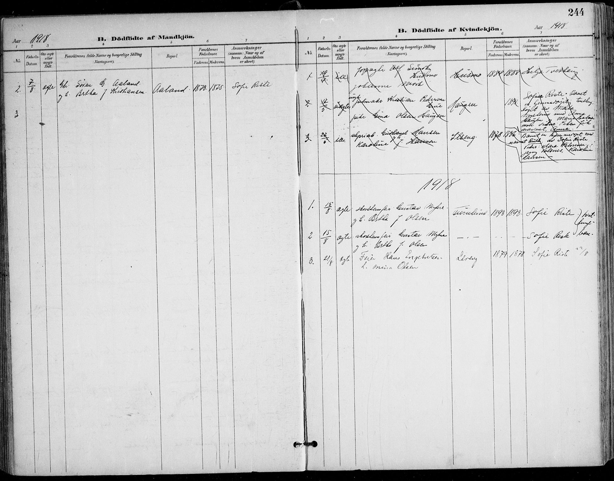 Nes prestekontor Kirkebøker, AV/SAO-A-10410/F/Fa/L0011: Parish register (official) no. I 11, 1899-1918, p. 244