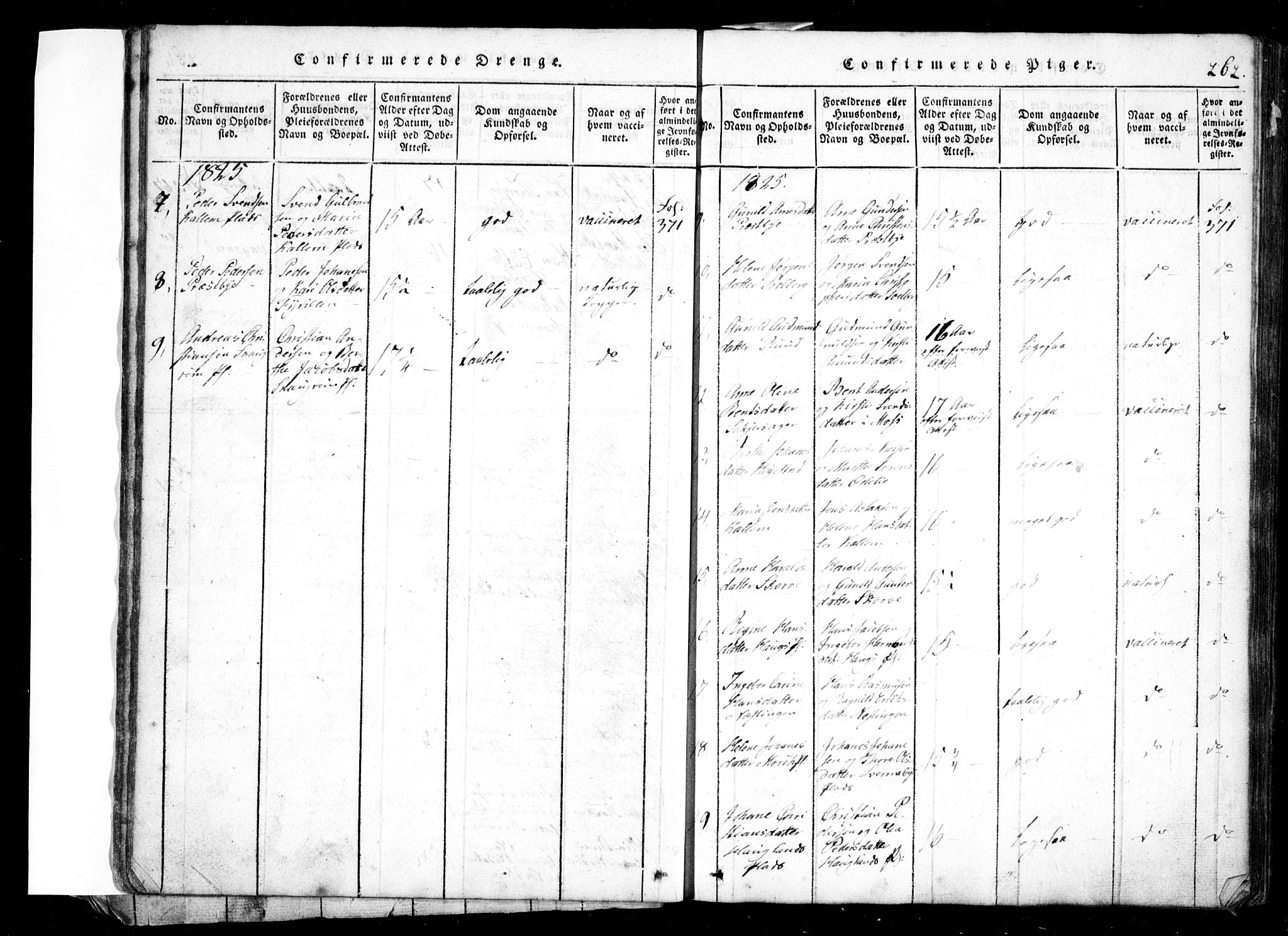 Spydeberg prestekontor Kirkebøker, AV/SAO-A-10924/G/Ga/L0001: Parish register (copy) no. I 1, 1814-1868, p. 262