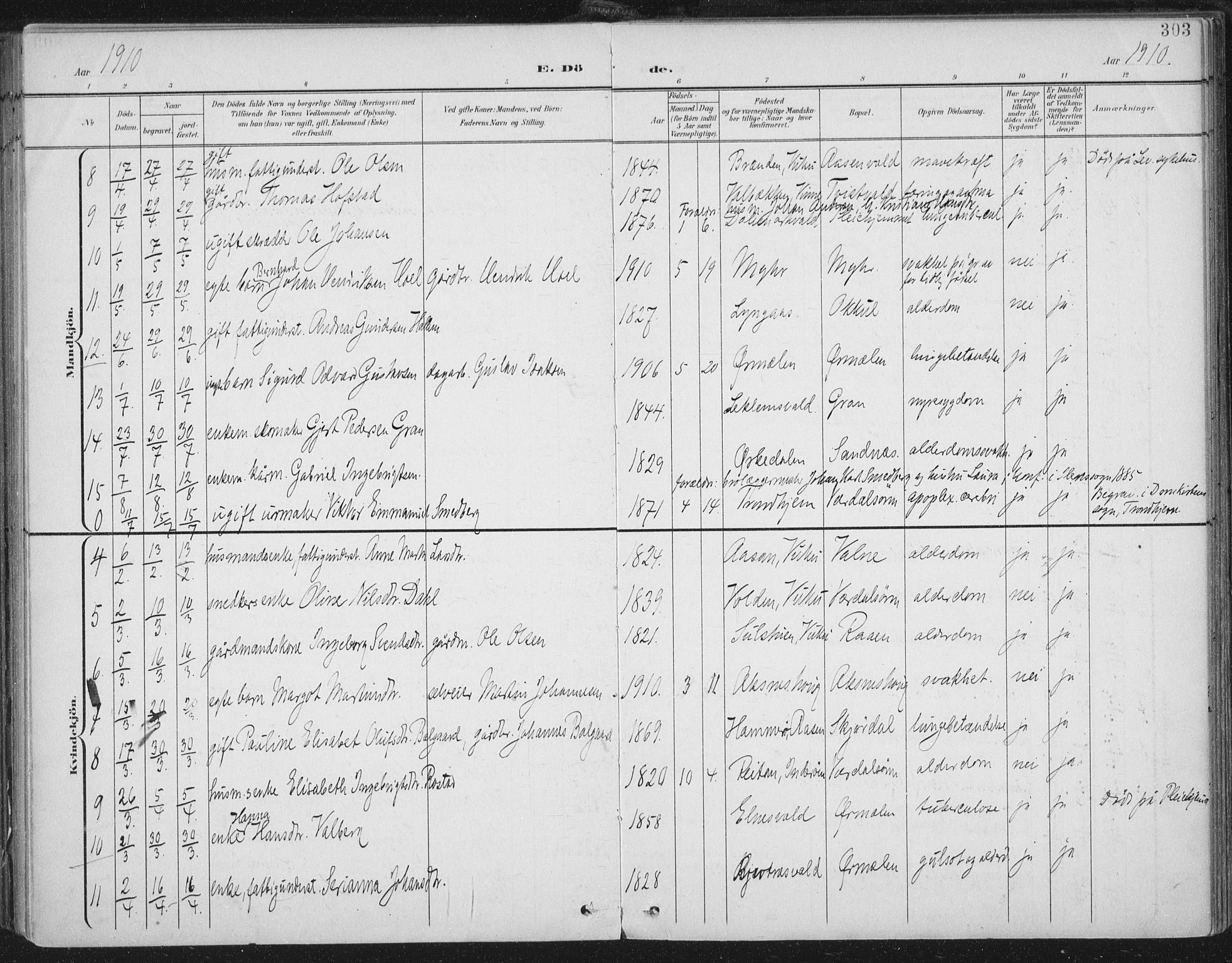 Ministerialprotokoller, klokkerbøker og fødselsregistre - Nord-Trøndelag, SAT/A-1458/723/L0246: Parish register (official) no. 723A15, 1900-1917, p. 303
