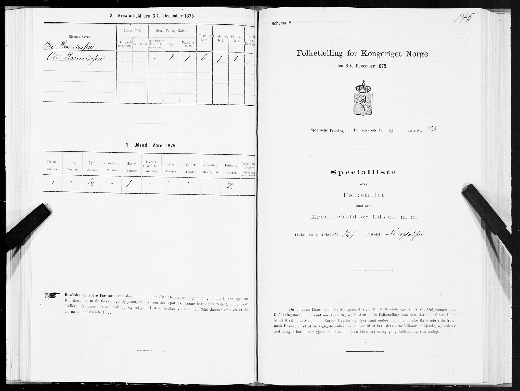 SAT, 1875 census for 1731P Sparbu, 1875, p. 4145