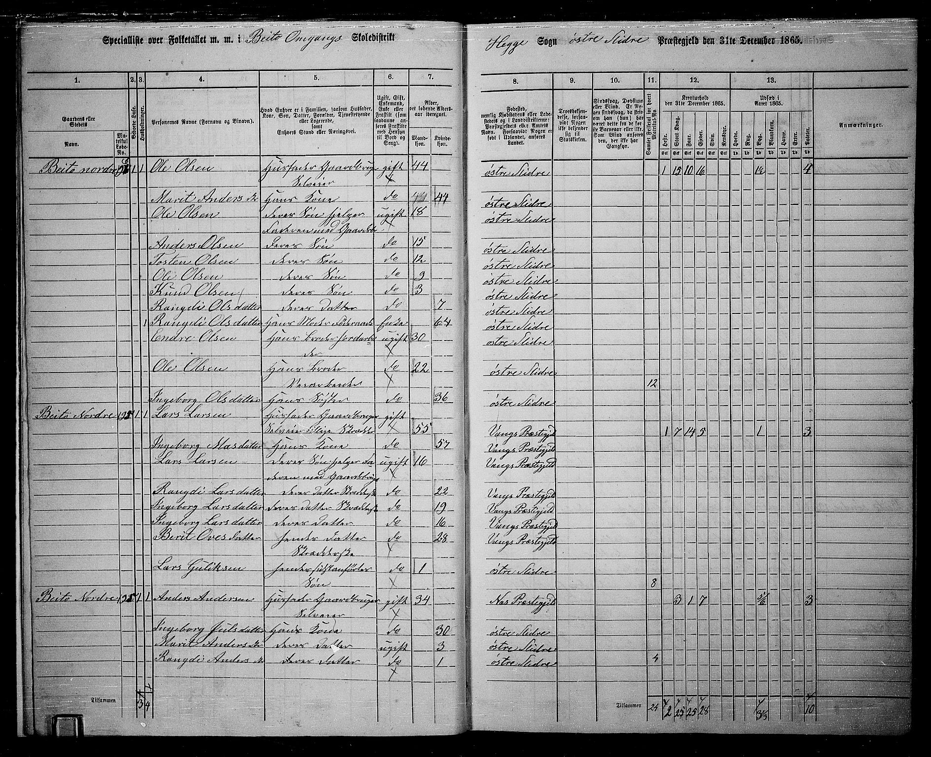 RA, 1865 census for Øystre Slidre, 1865, p. 13