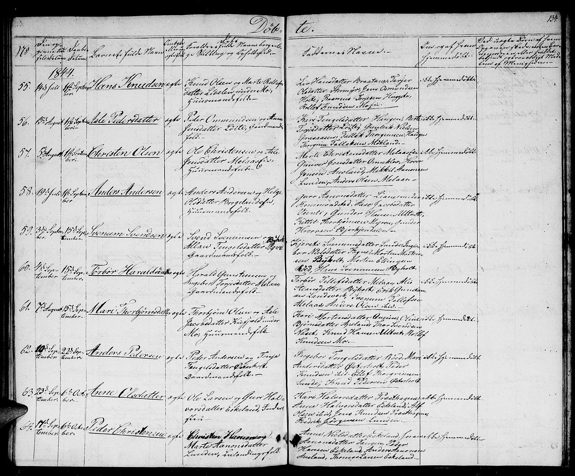 Gjerstad sokneprestkontor, AV/SAK-1111-0014/F/Fb/Fba/L0003: Parish register (copy) no. B 3, 1829-1844, p. 134