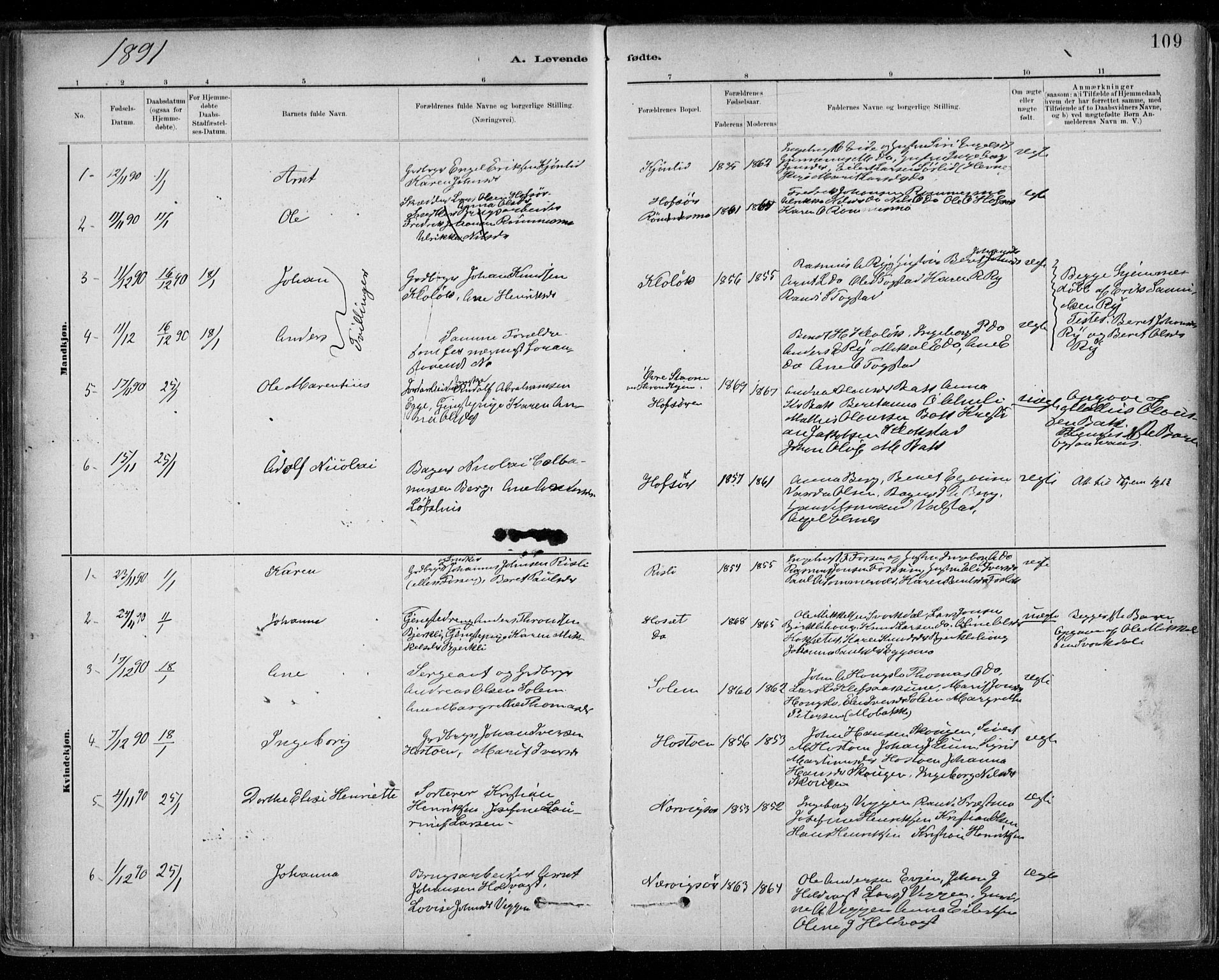 Ministerialprotokoller, klokkerbøker og fødselsregistre - Sør-Trøndelag, SAT/A-1456/668/L0809: Parish register (official) no. 668A09, 1881-1895, p. 109
