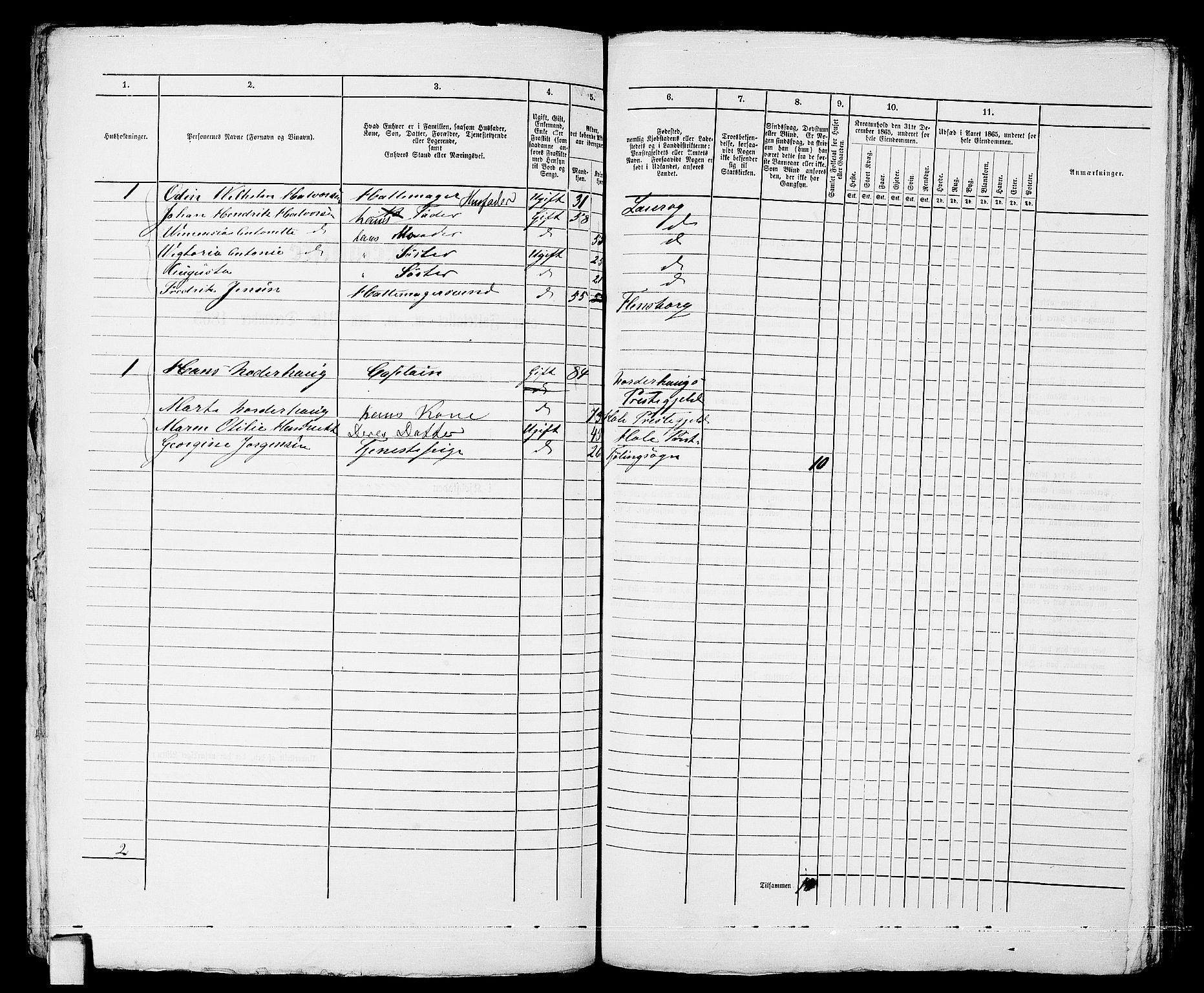 RA, 1865 census for Larvik, 1865, p. 216