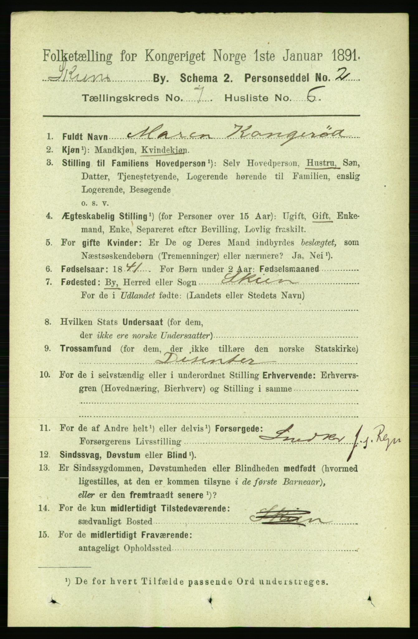 RA, 1891 census for 0806 Skien, 1891, p. 3195