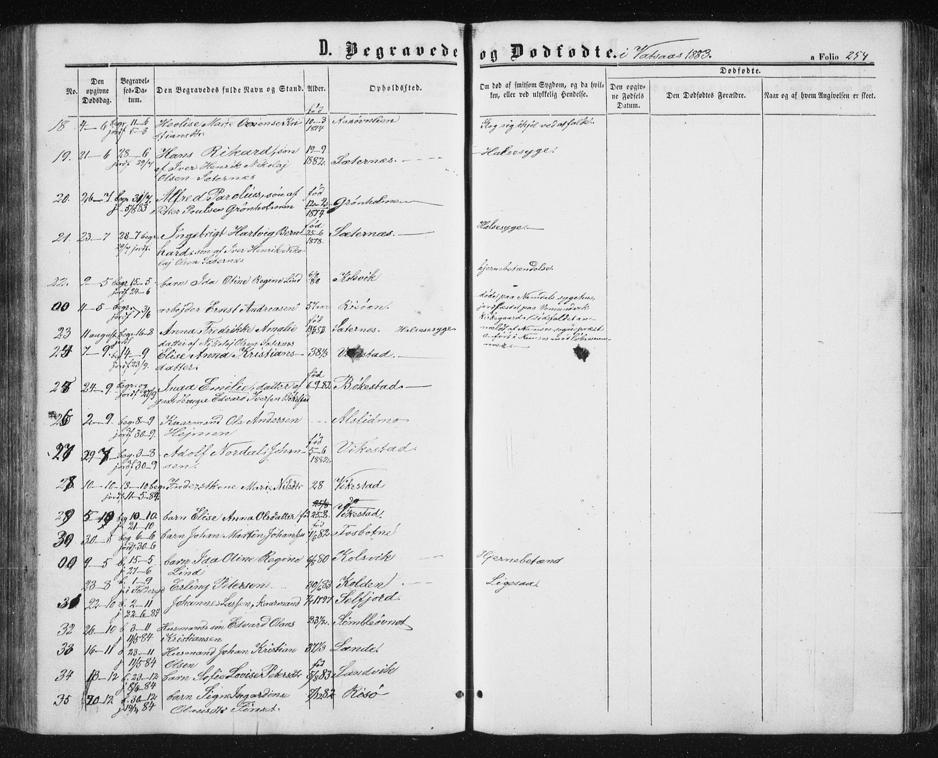 Ministerialprotokoller, klokkerbøker og fødselsregistre - Nordland, AV/SAT-A-1459/810/L0158: Parish register (copy) no. 810C02 /1, 1863-1883, p. 254