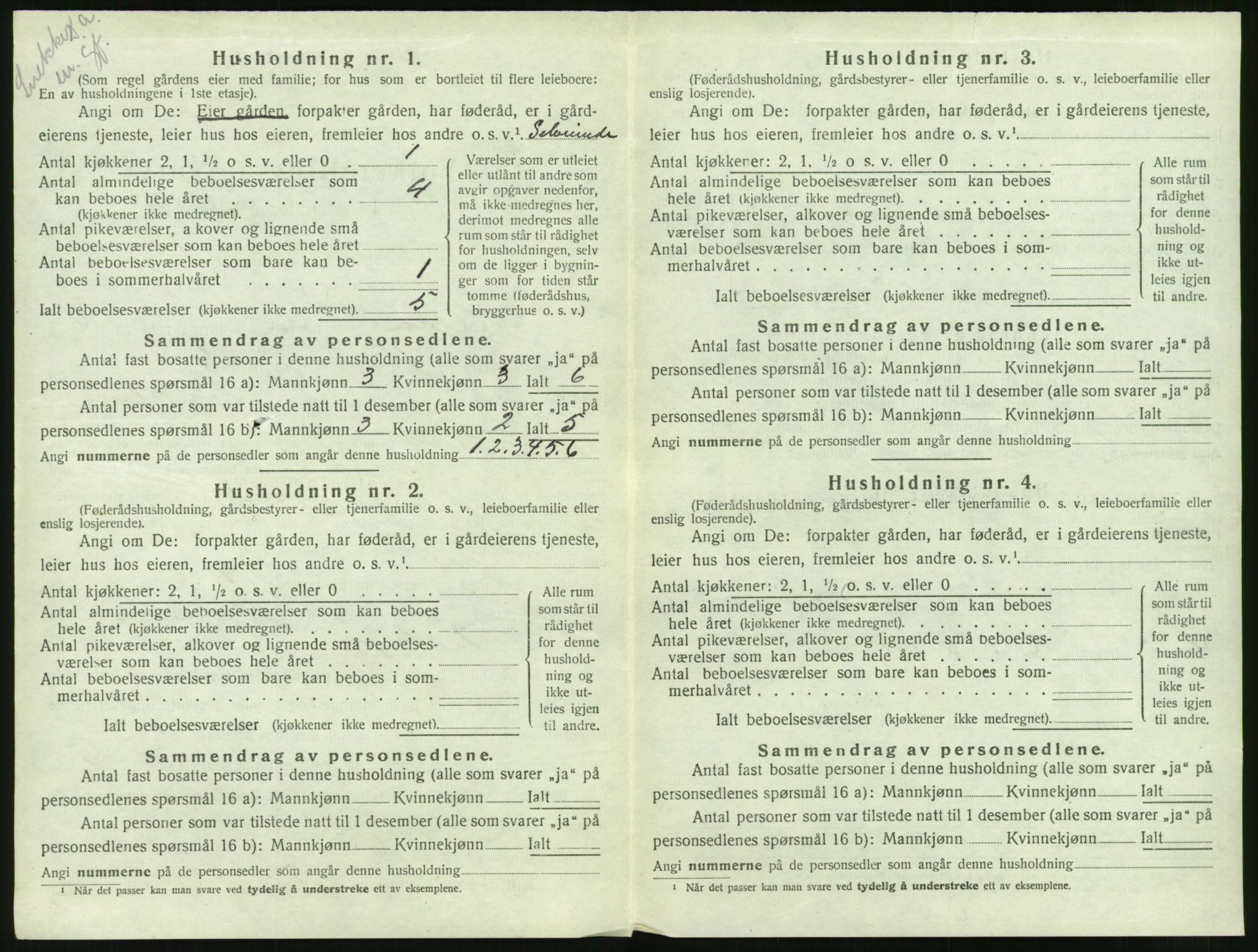 SAT, 1920 census for Halsa, 1920, p. 325