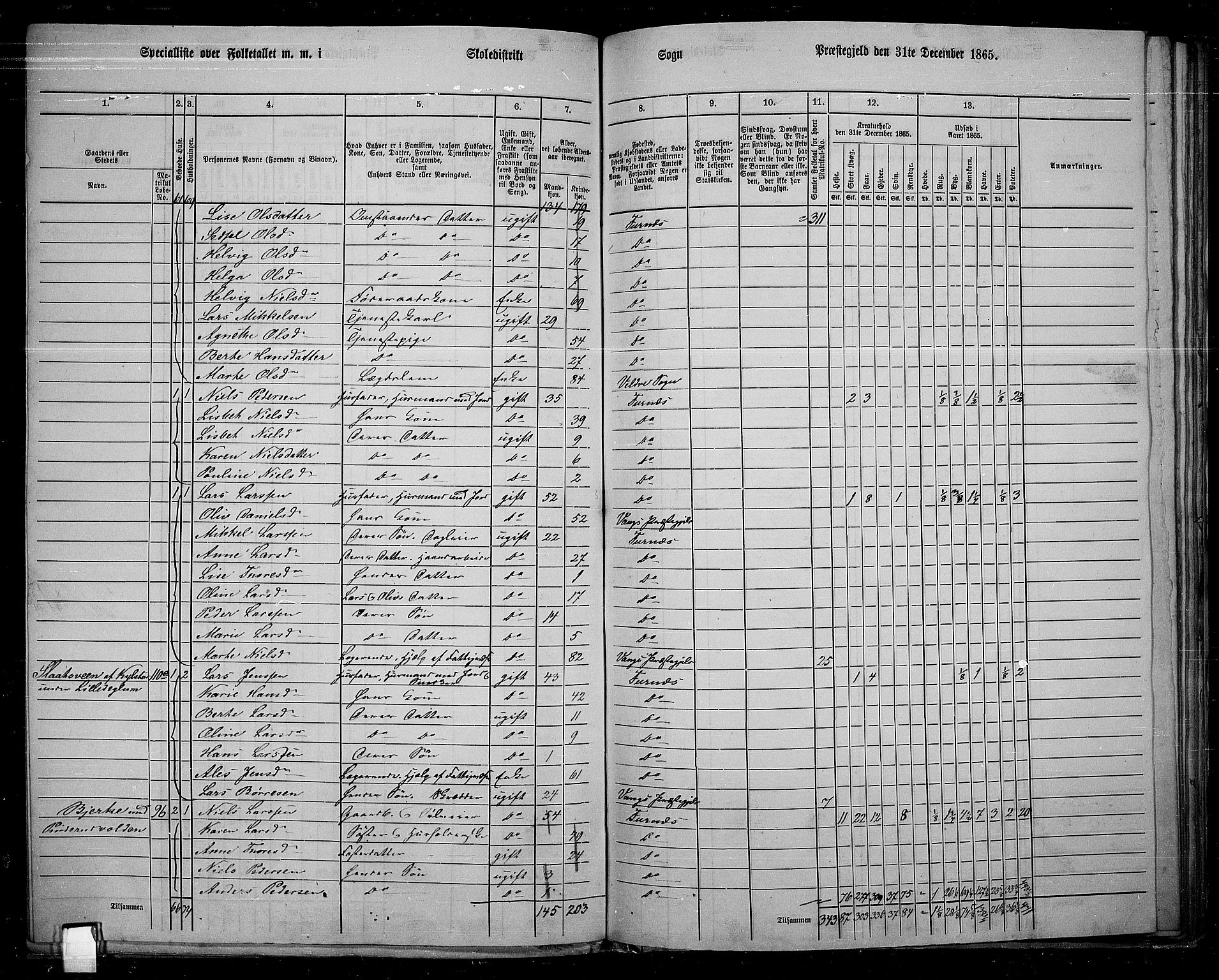 RA, 1865 census for Vang/Vang og Furnes, 1865, p. 99