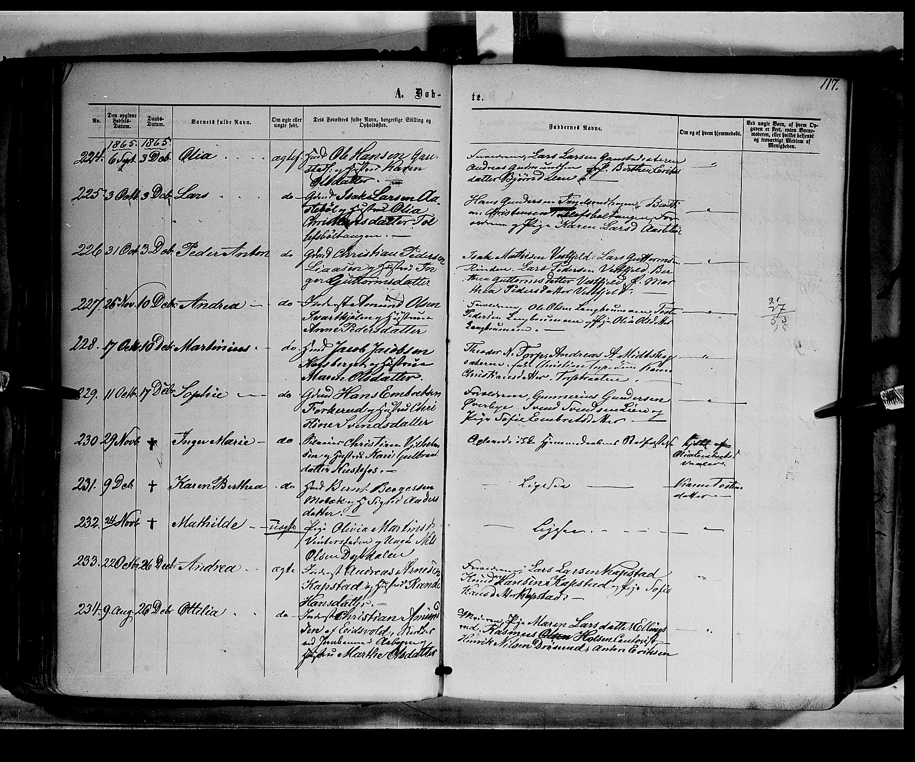 Eidskog prestekontor, AV/SAH-PREST-026/H/Ha/Haa/L0001: Parish register (official) no. 1, 1860-1867, p. 117